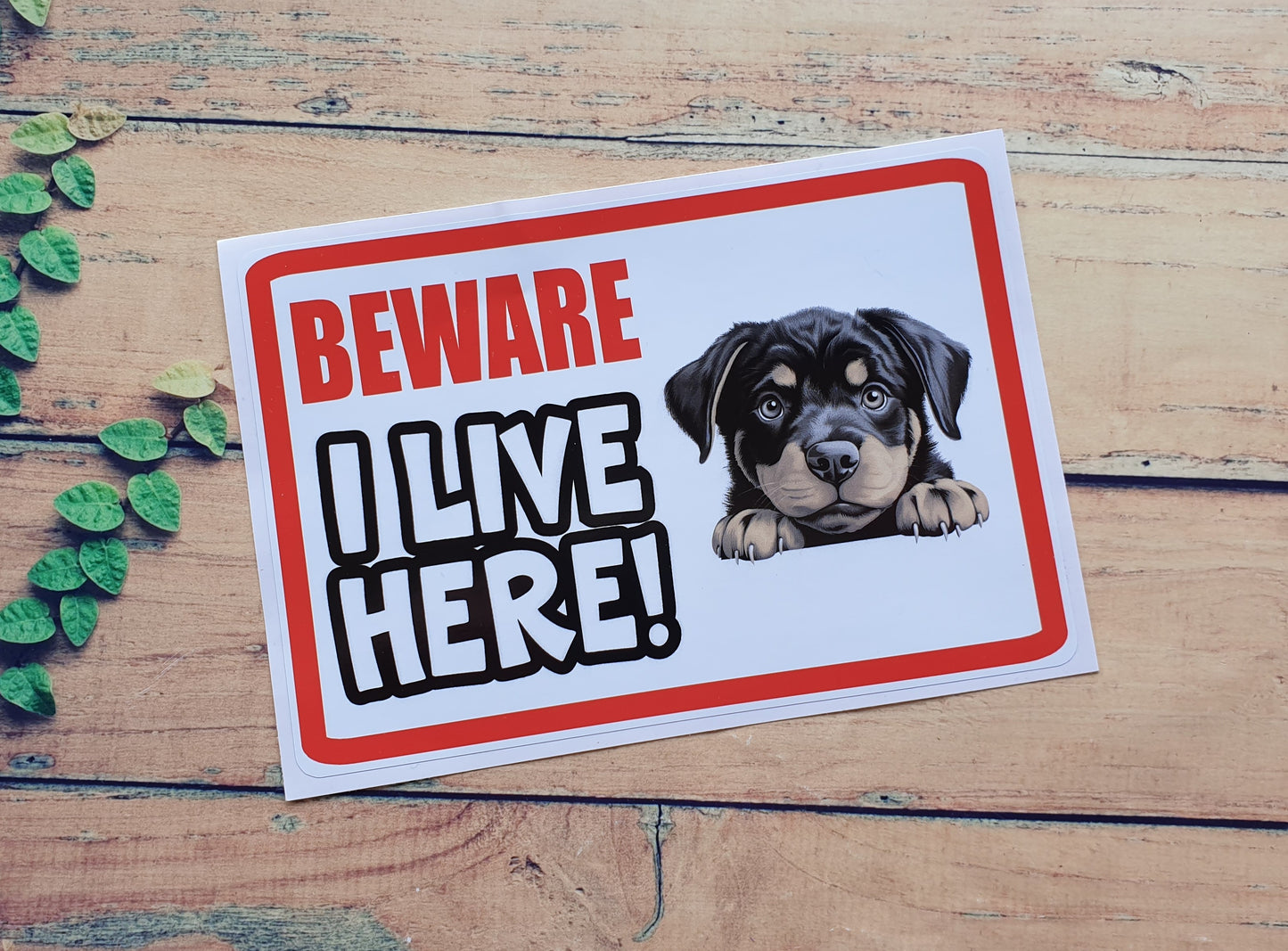 Rottweiler Sticker - Beware I Live Here - Cute House Home Window Door Porch Dog Warning Decal