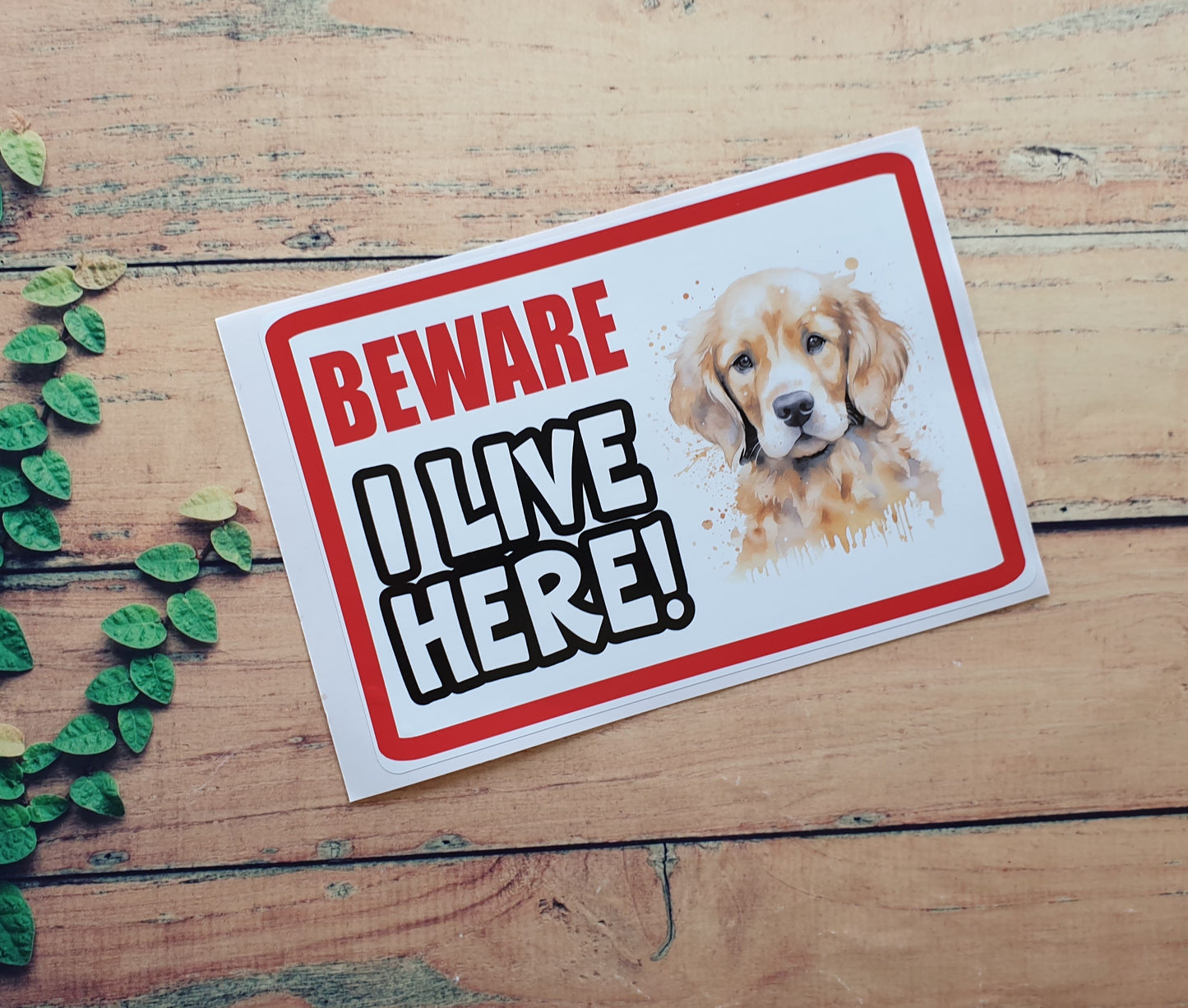 Golden Retriever Sticker - Beware I Live Here - Cute House Home Window Door Porch Dog Warning Decal