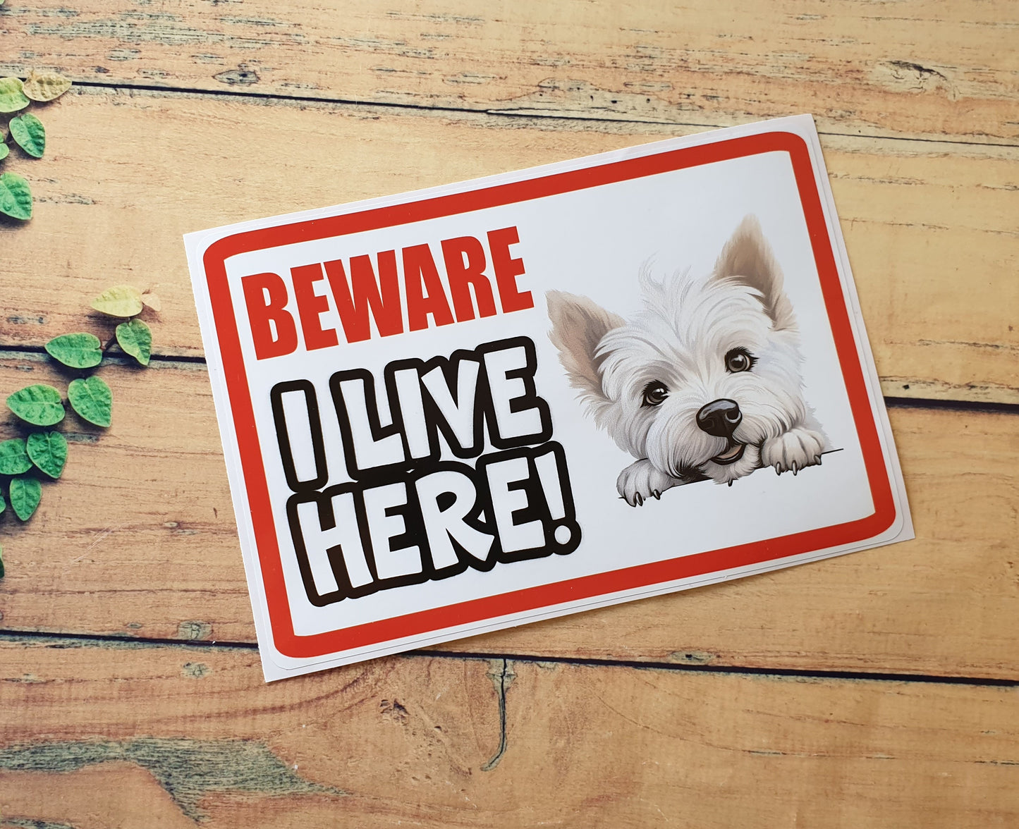 Westie Sticker - Beware I Live Here - Cute House Home Window Door Porch Dog Warning Decal