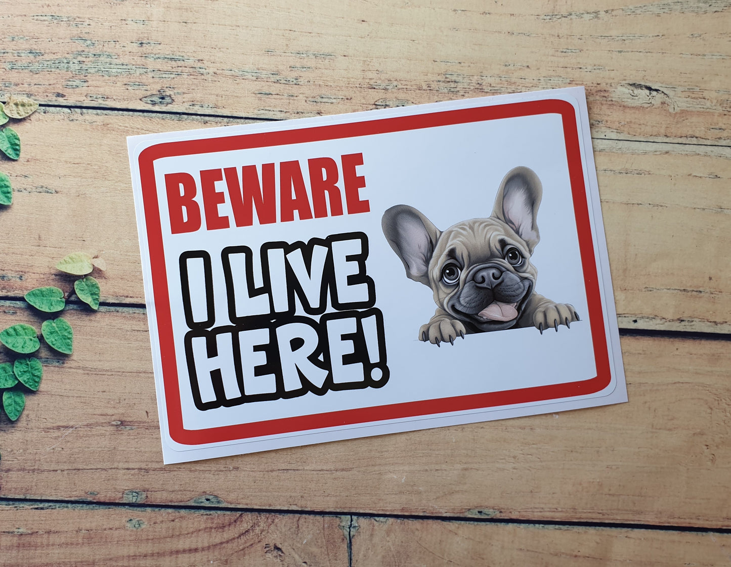 French Bulldog Sticker - Beware I Live Here - Cute House Home Window Door Porch Dog Warning Decal