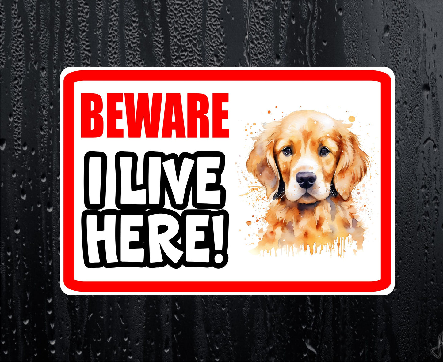 Golden Retriever Sticker - Beware I Live Here - Cute House Home Window Door Porch Dog Warning Decal