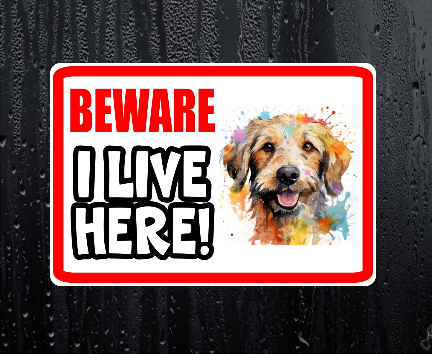 Labradoodle Sticker - Beware I Live Here - Cute House Home Window Door Porch Dog Warning Decal