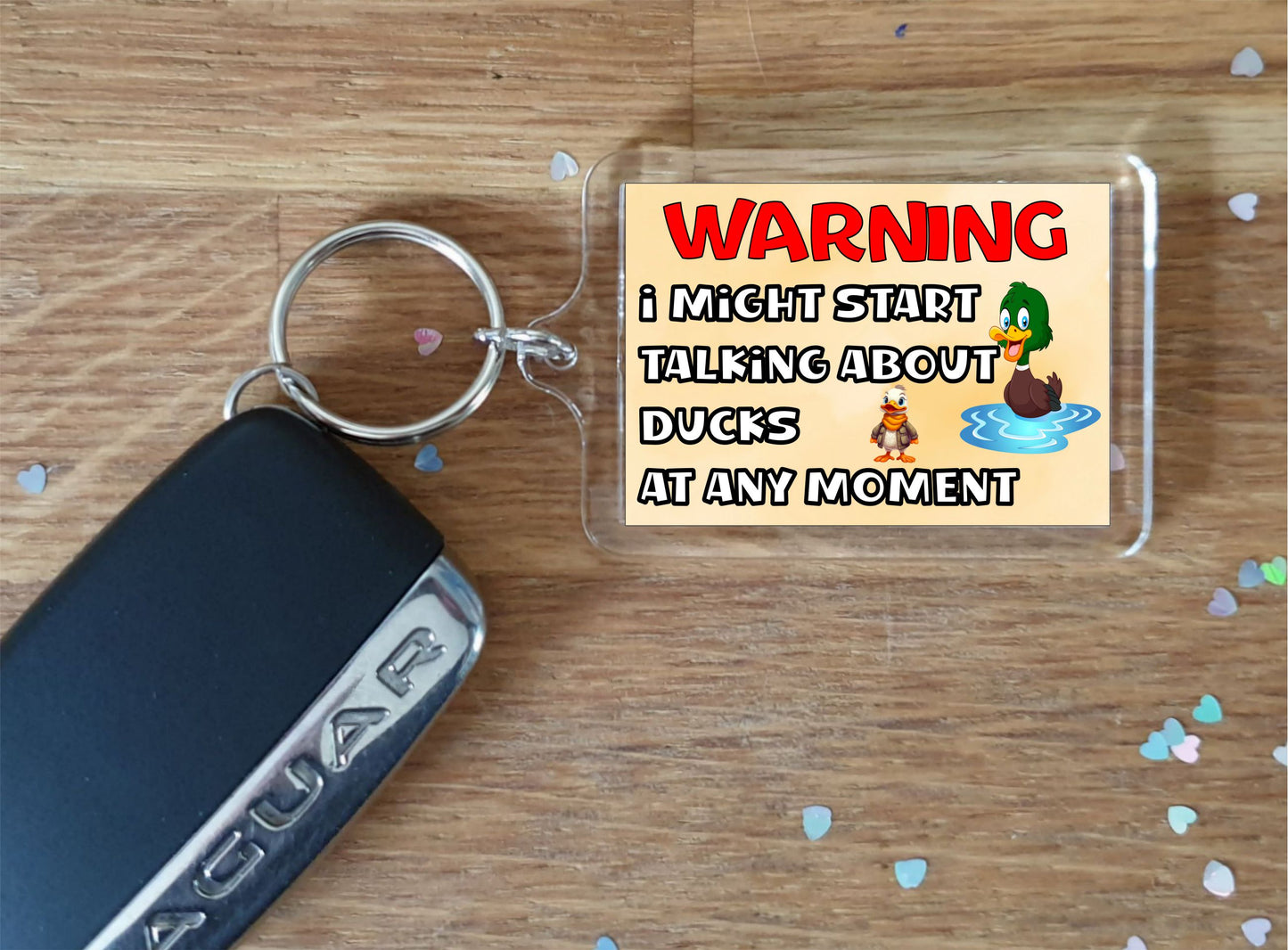 Duck Keyring Gift - Warning I Might Start Talking About * At Any Moment - Fun Cute Novelty Bird Present