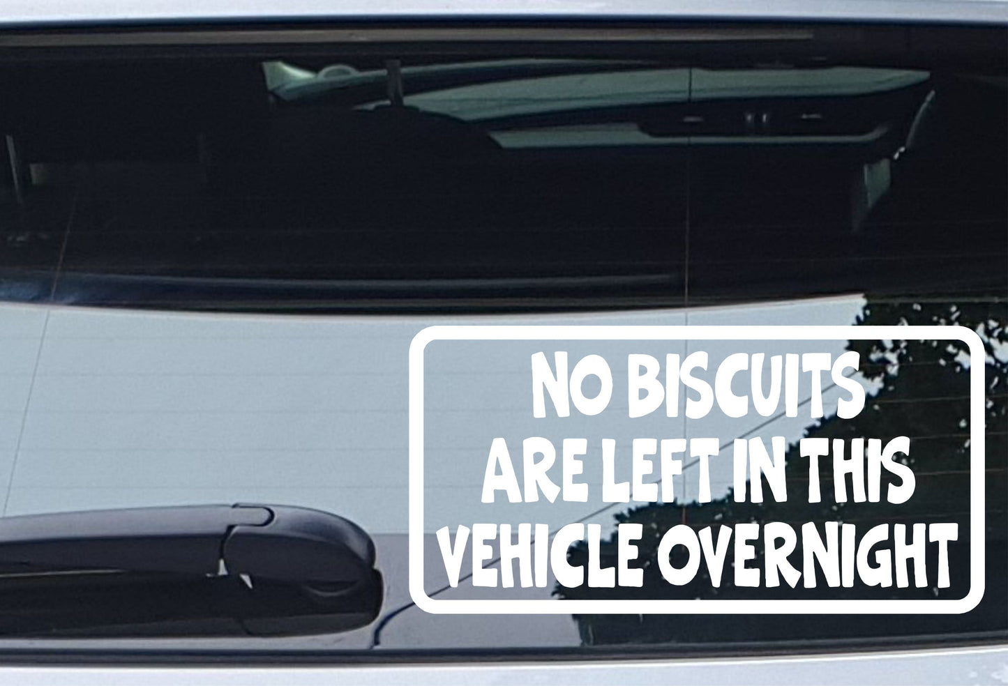 Car Sticker No Biscuits Are Left In Vehicle Overnight Funny Novelty Van Window Bumper Boot Door Decal