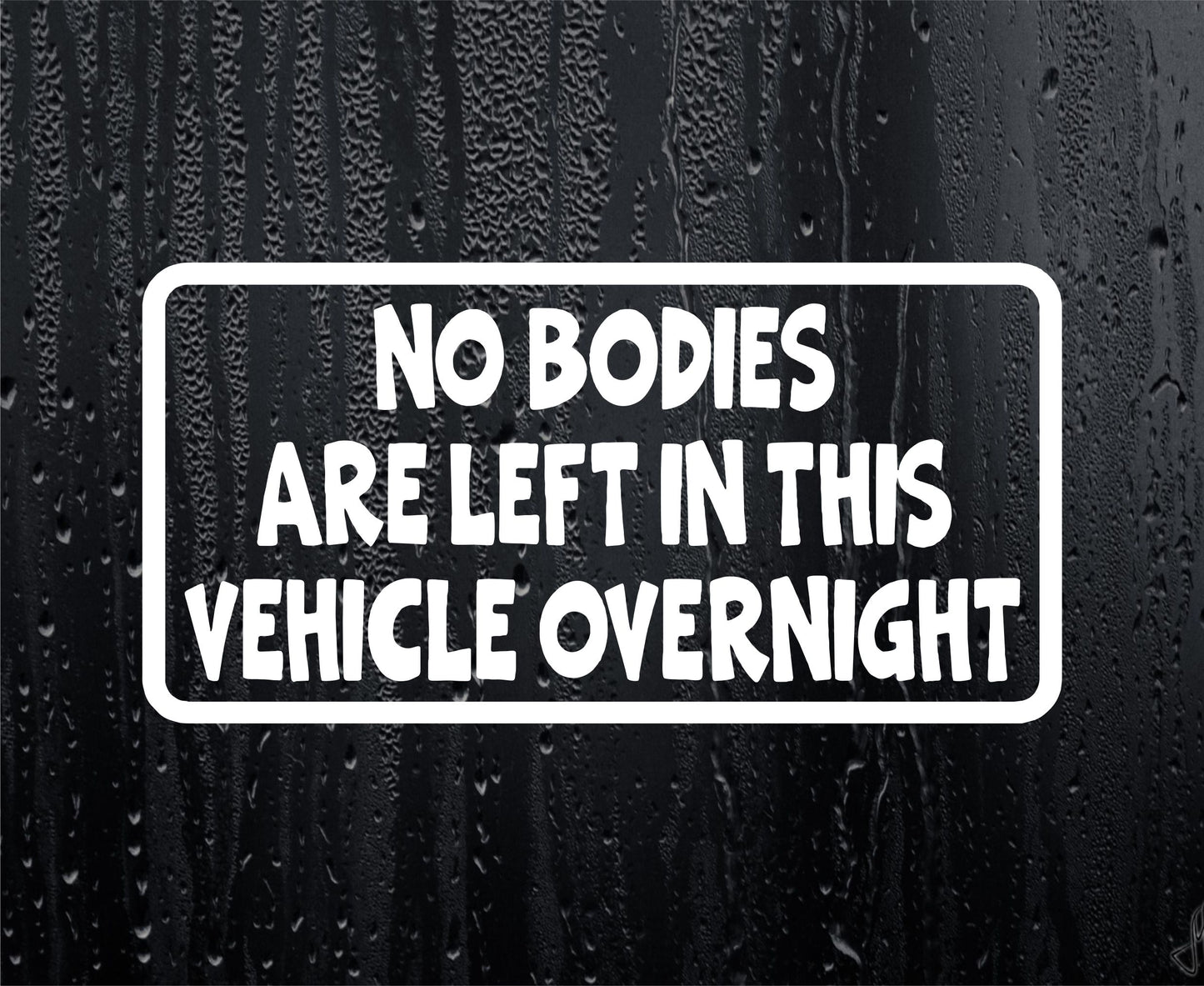 Car Sticker No Bodies Are Left In Vehicle Overnight Funny Cute Novelty Van Window Bumper Boot Door Decal Gift Present