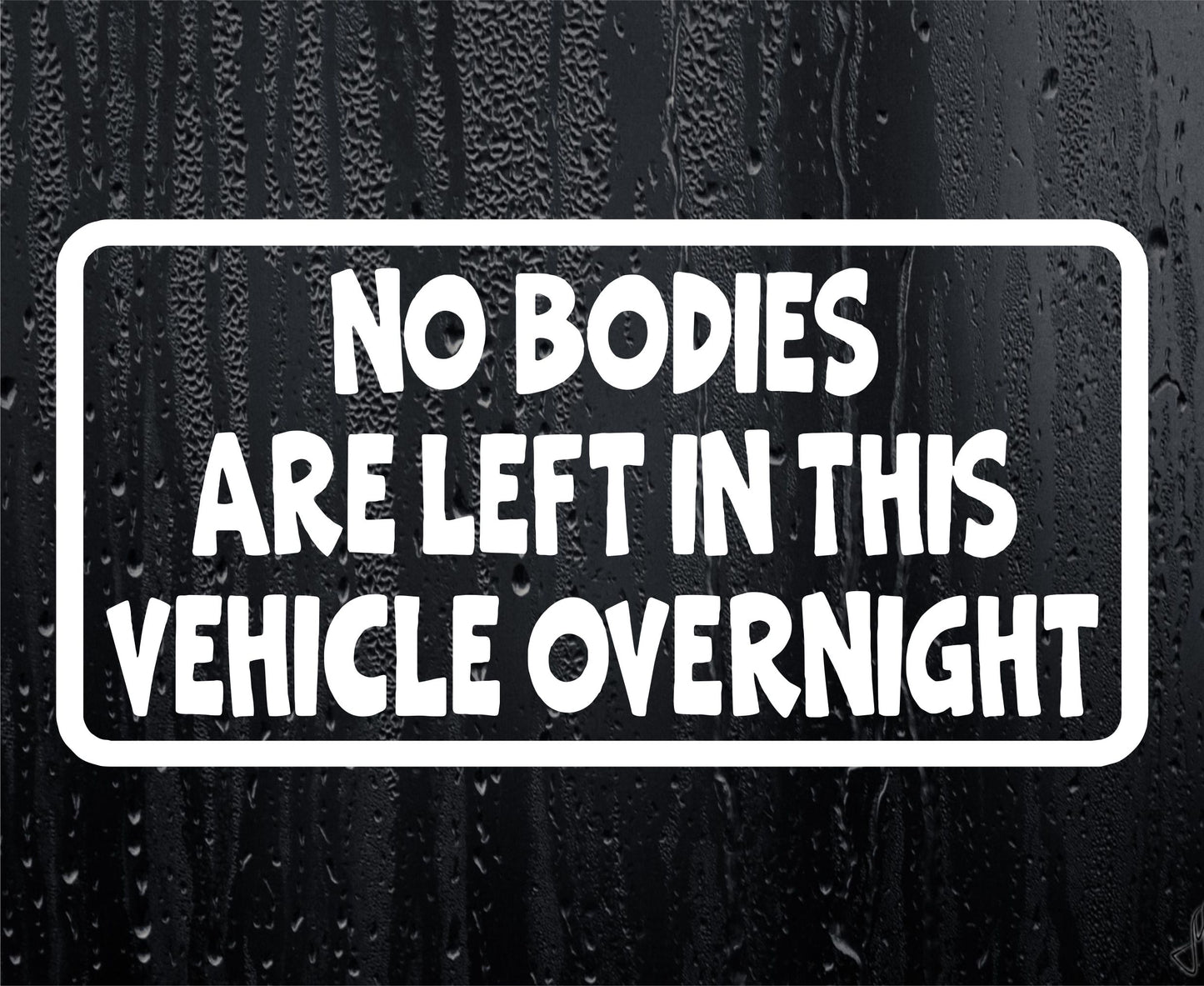 Car Sticker No Bodies Are Left In Vehicle Overnight Funny Cute Novelty Van Window Bumper Boot Door Decal Gift Present