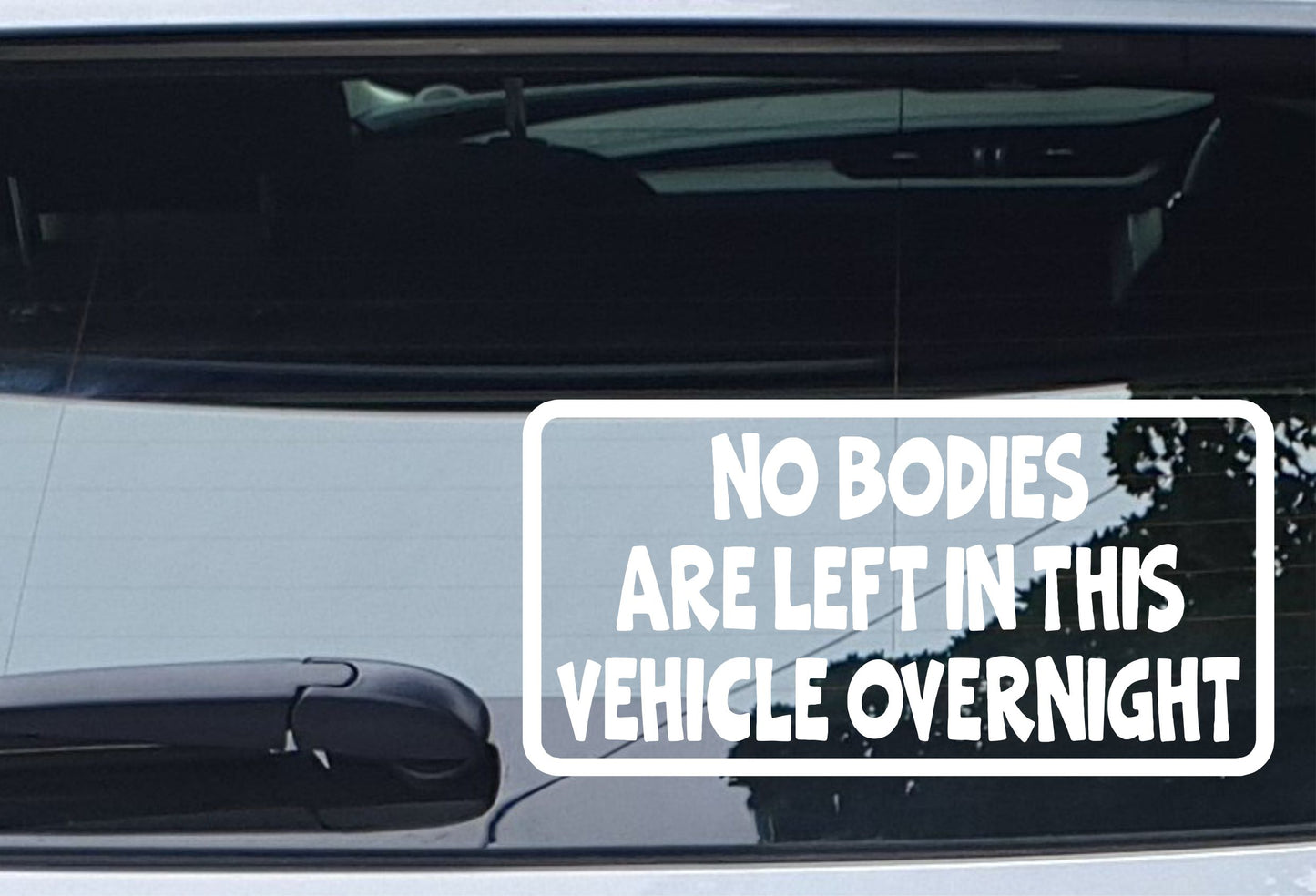 Car Sticker No Bodies Are Left In Vehicle Overnight Funny Cute Novelty Van Window Bumper Boot Door Decal Gift Present