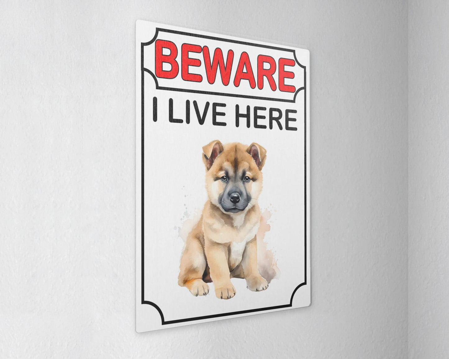 Akita Metal Sign Gift - Beware I Live Here - Cute Fun Novelty Animal Aluminium Present