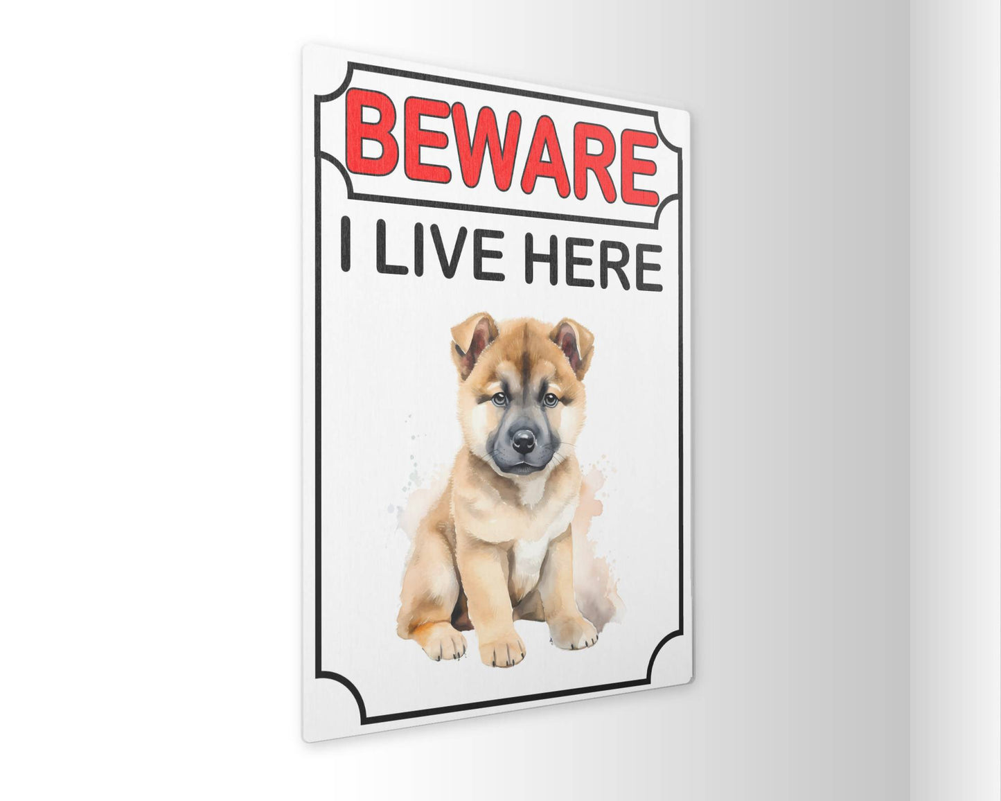 Akita Metal Sign Gift - Beware I Live Here - Cute Fun Novelty Animal Aluminium Present