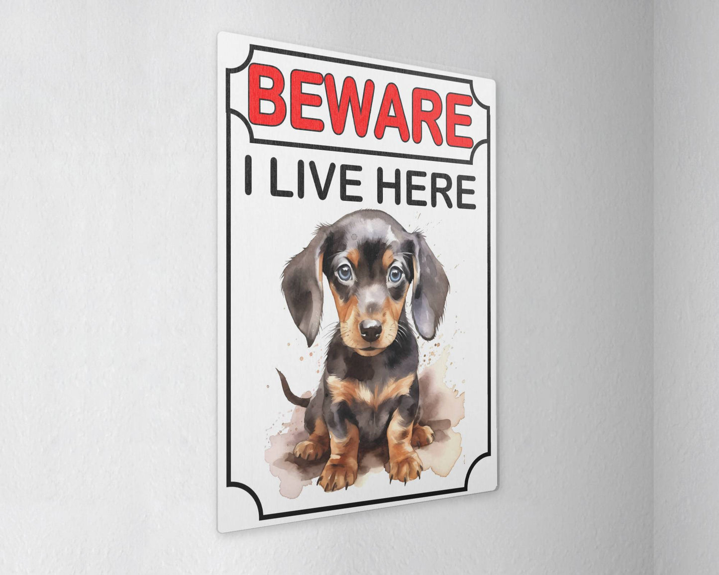 Dachshund Metal Sign Gift - Beware I Live Here - Cute Fun Novelty Animal Aluminium Present