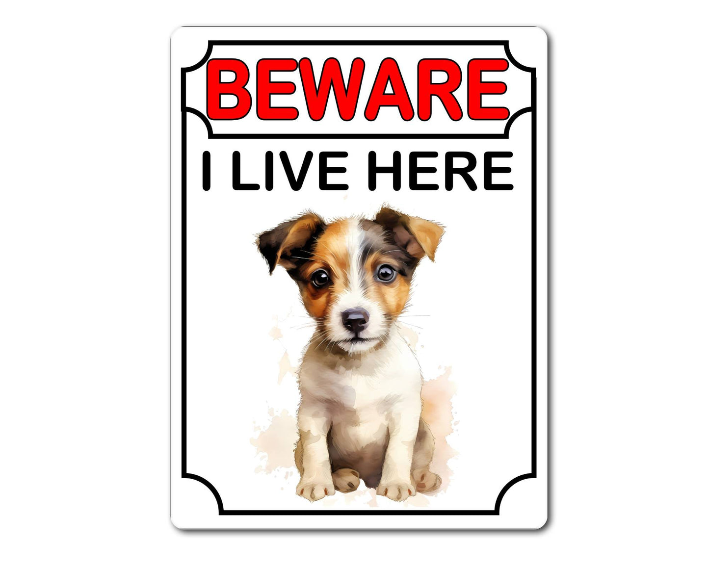 Jack Russell Metal Sign Gift - Beware I Live Here - Cute Fun Novelty Animal Aluminium Present