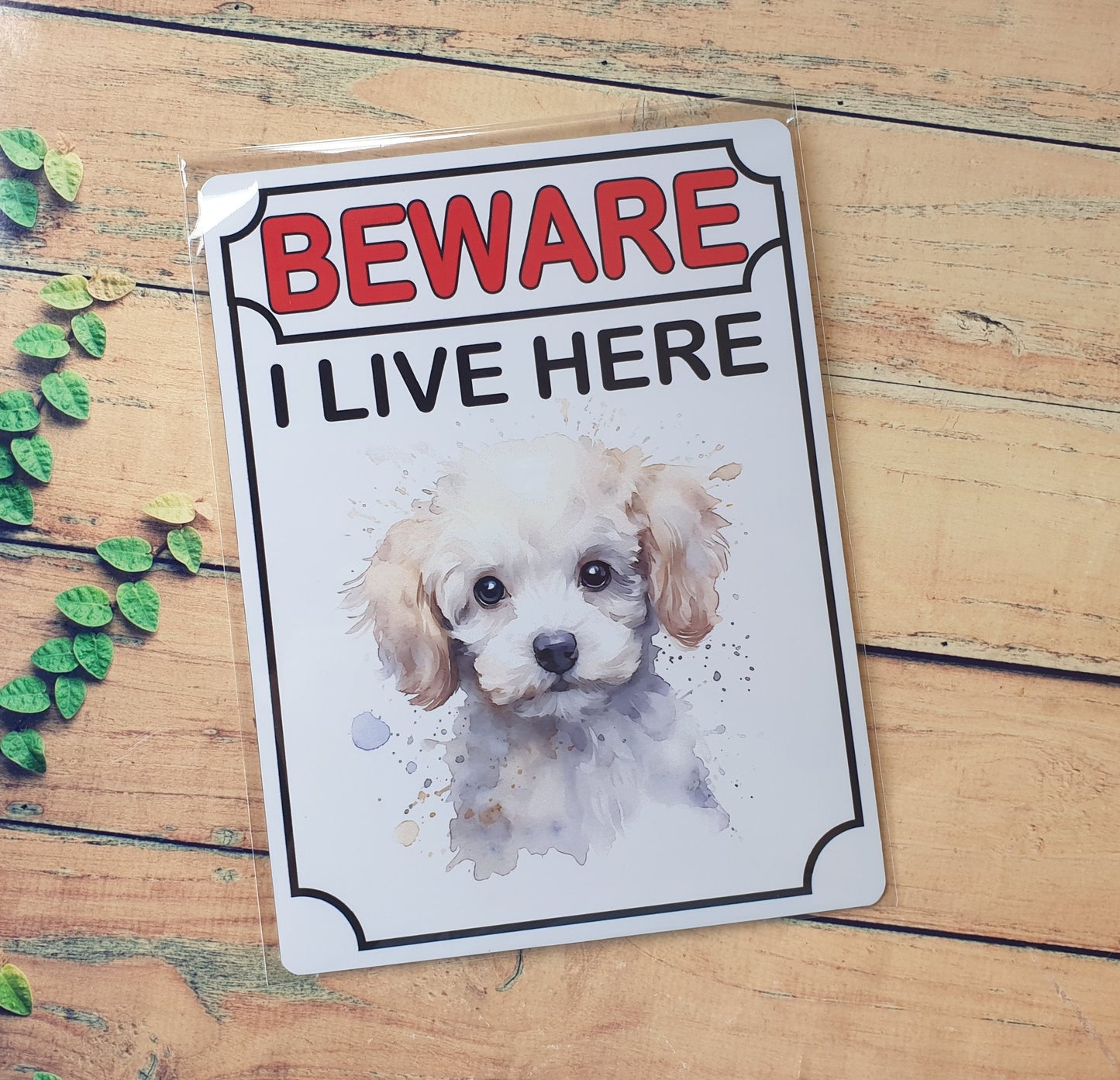 Poodle Metal Sign Gift - Beware I Live Here - Cute Fun Novelty Animal Aluminium Present