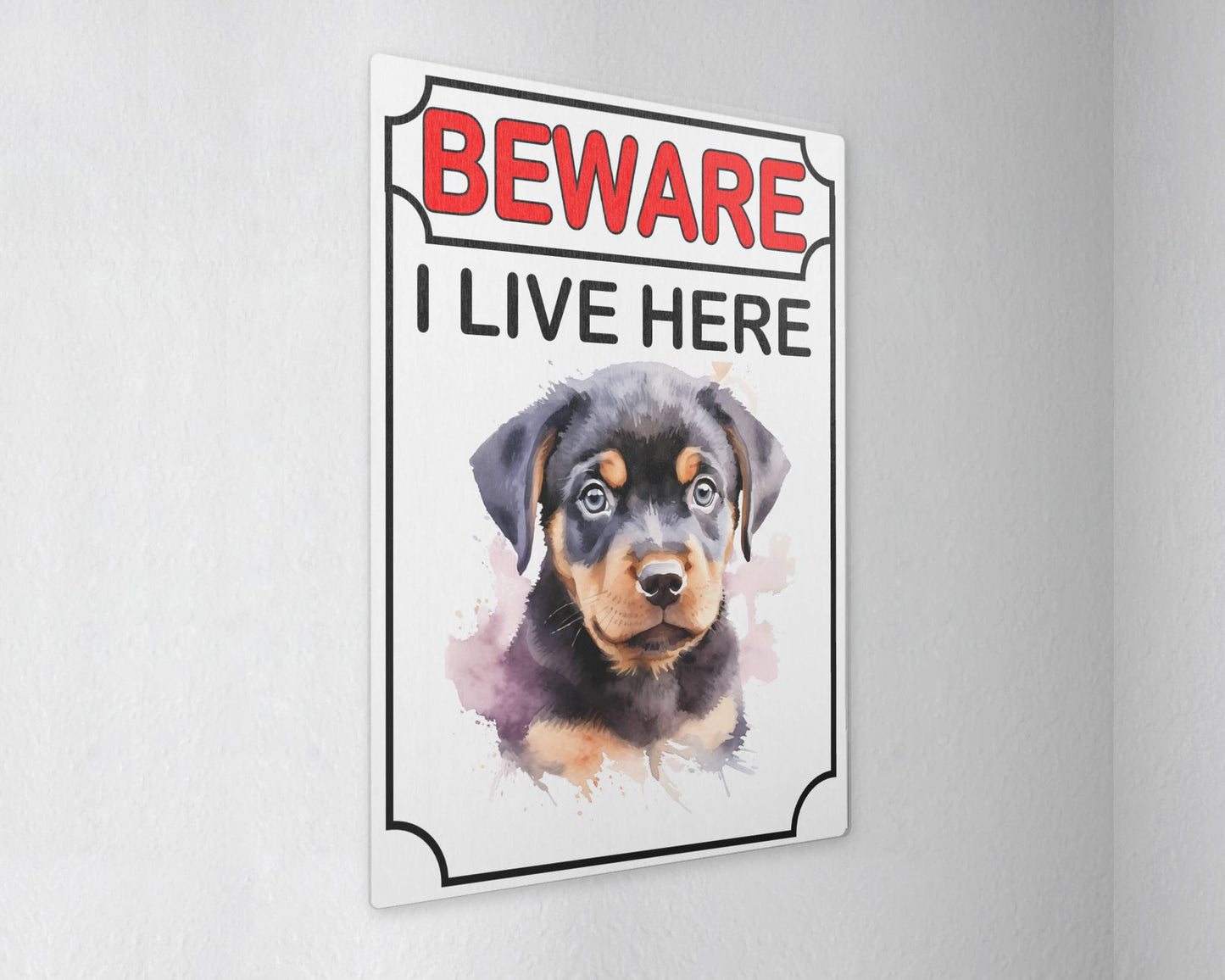Rottweiler Metal Sign Gift - Beware I Live Here - Cute Fun Novelty Animal Aluminium Present