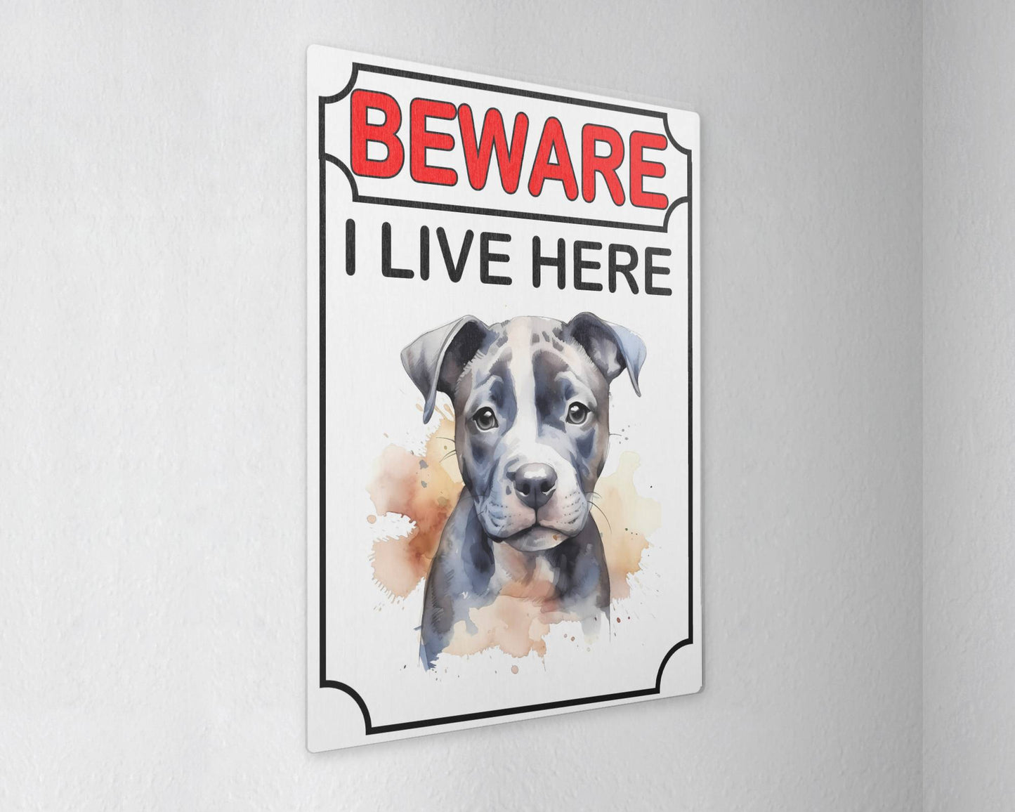 Staffie Metal Sign Gift - Beware I Live Here - Cute Fun Novelty Animal Aluminium Present