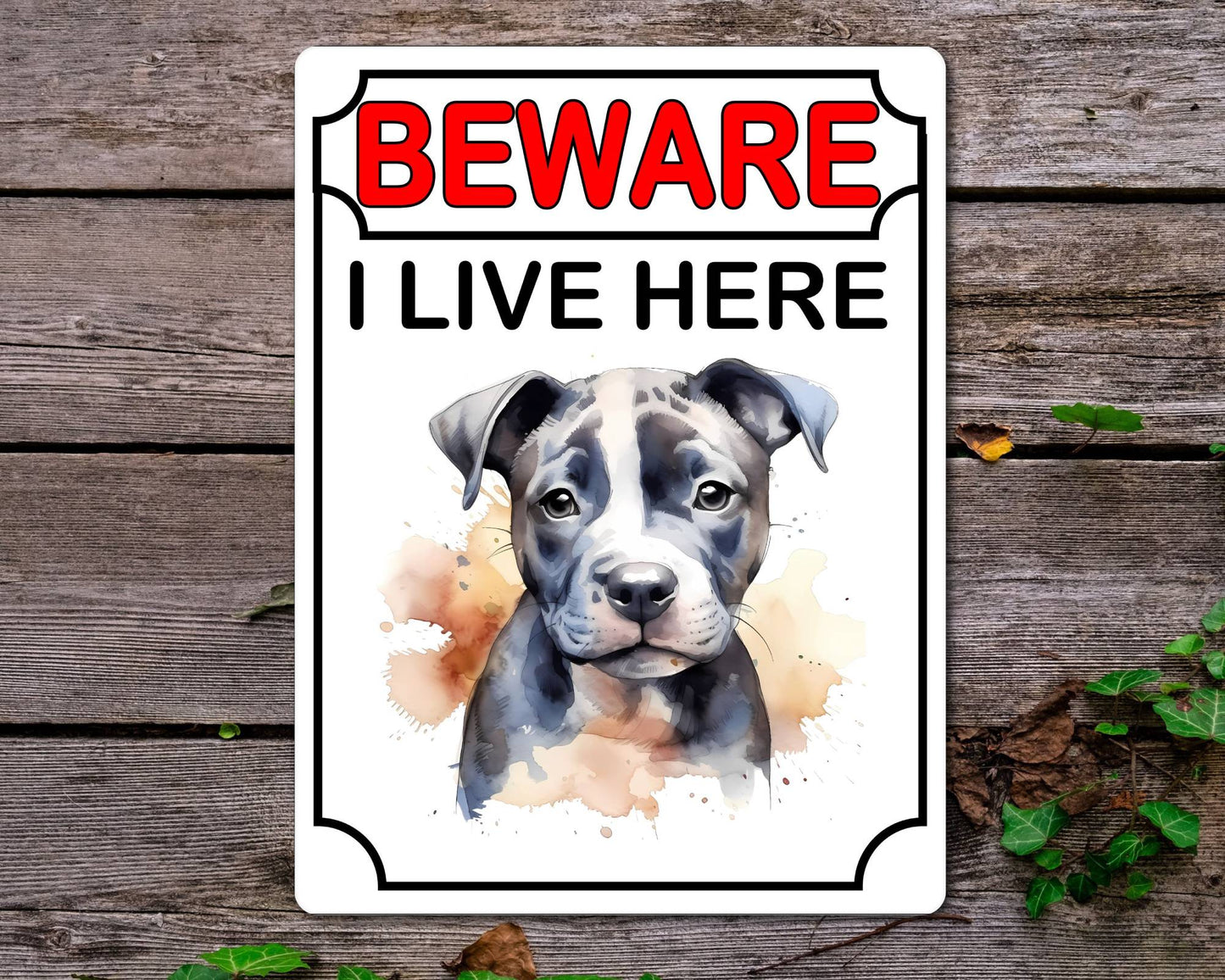 Staffie Metal Sign Gift - Beware I Live Here - Cute Fun Novelty Animal Aluminium Present