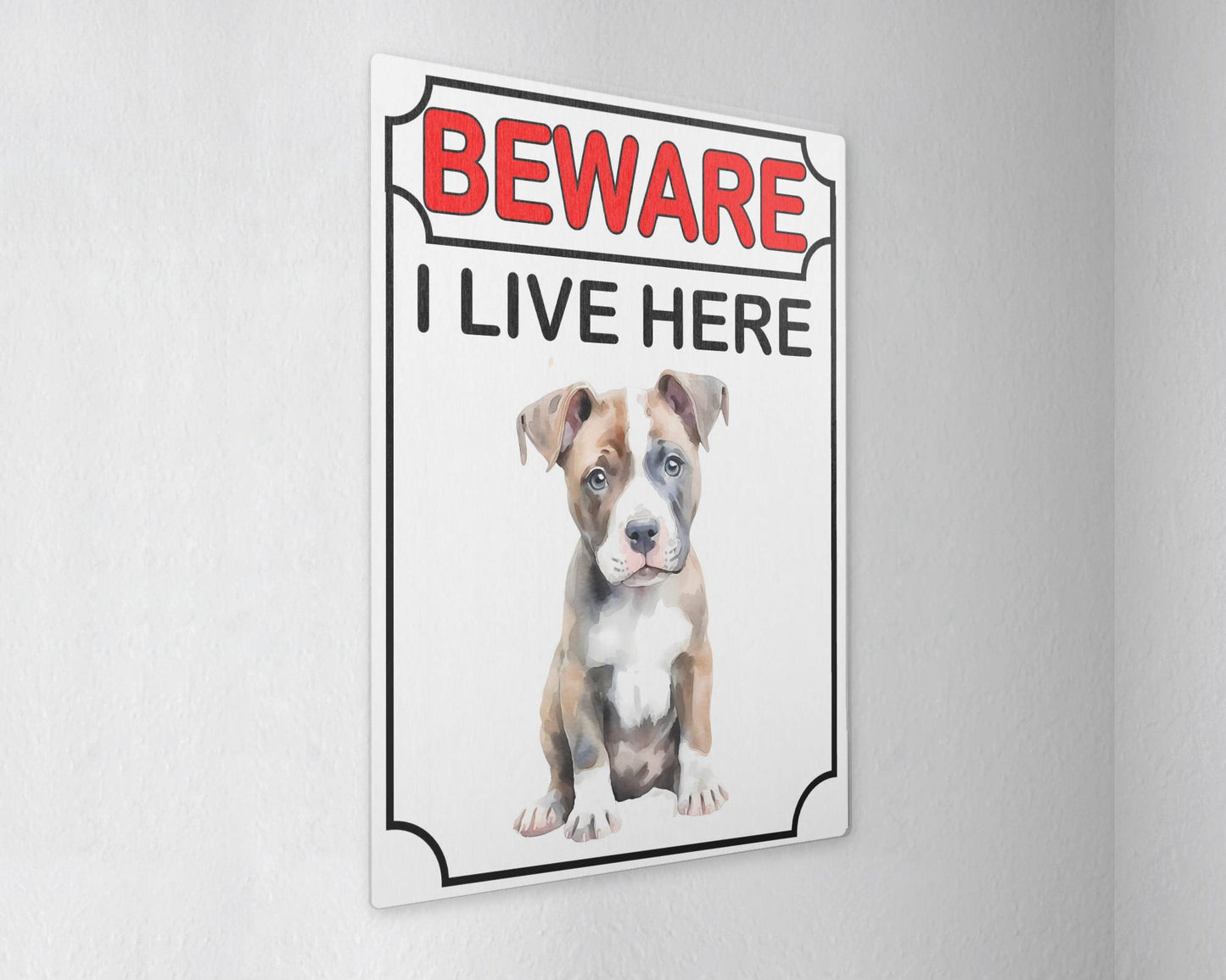 Staffy Metal Sign Gift - Beware I Live Here - Cute Fun Novelty Animal Aluminium Present