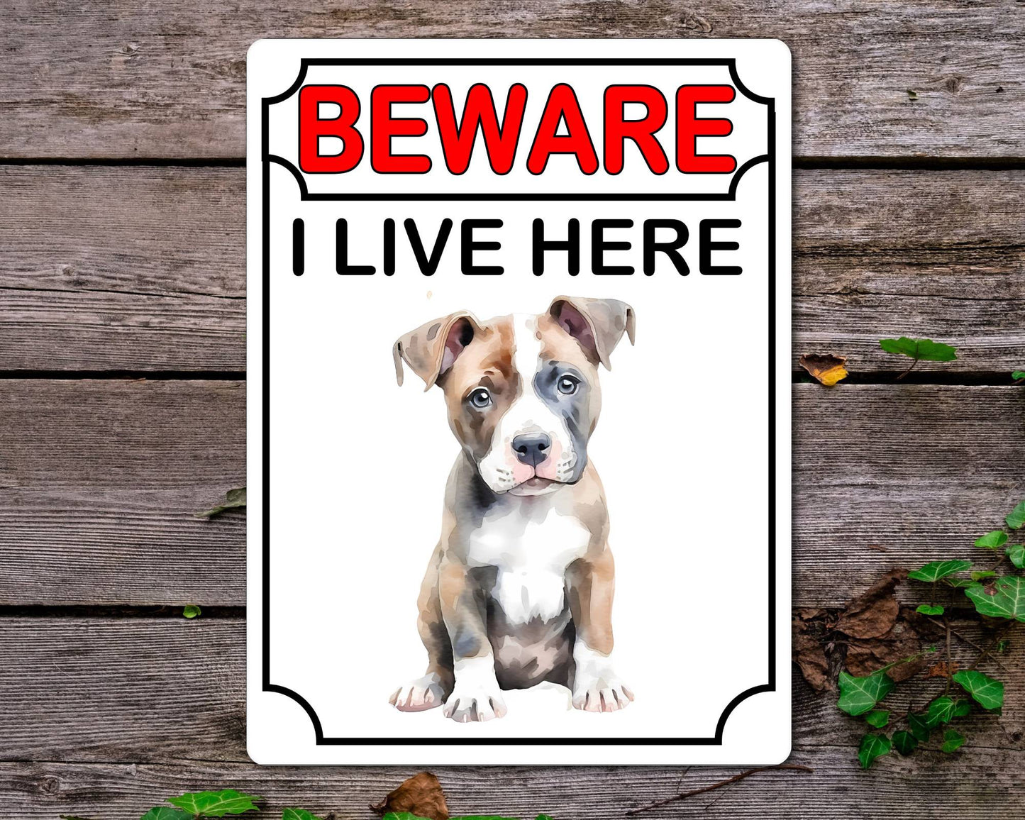 Staffy Metal Sign Gift - Beware I Live Here - Cute Fun Novelty Animal Aluminium Present