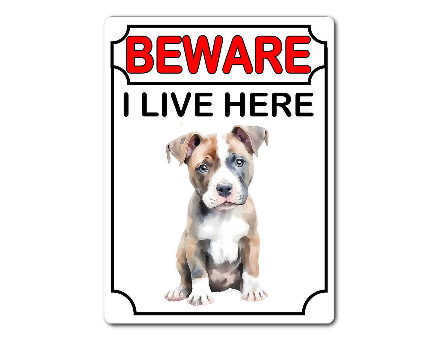 Staffy Metal Sign Gift - Beware I Live Here - Cute Fun Novelty Animal Aluminium Present