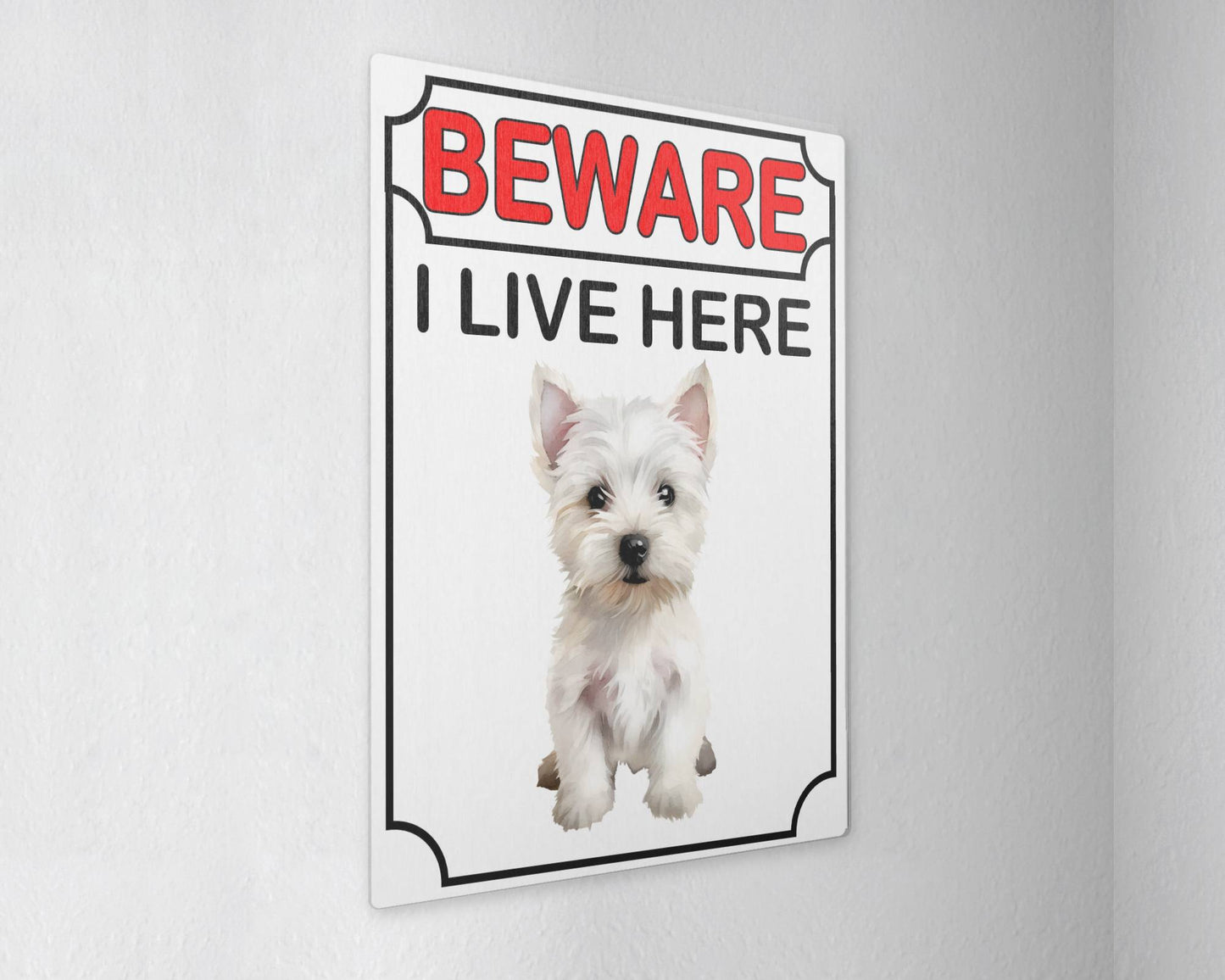Westie Metal Sign Gift - Beware I Live Here - Cute Fun Novelty Animal Aluminium Present