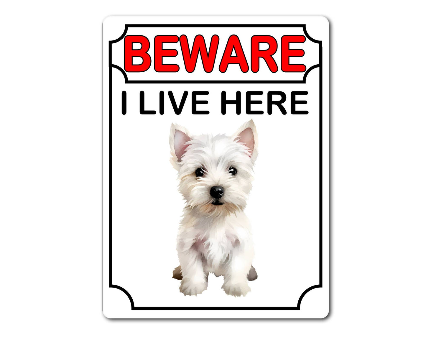 Westie Metal Sign Gift - Beware I Live Here - Cute Fun Novelty Animal Aluminium Present
