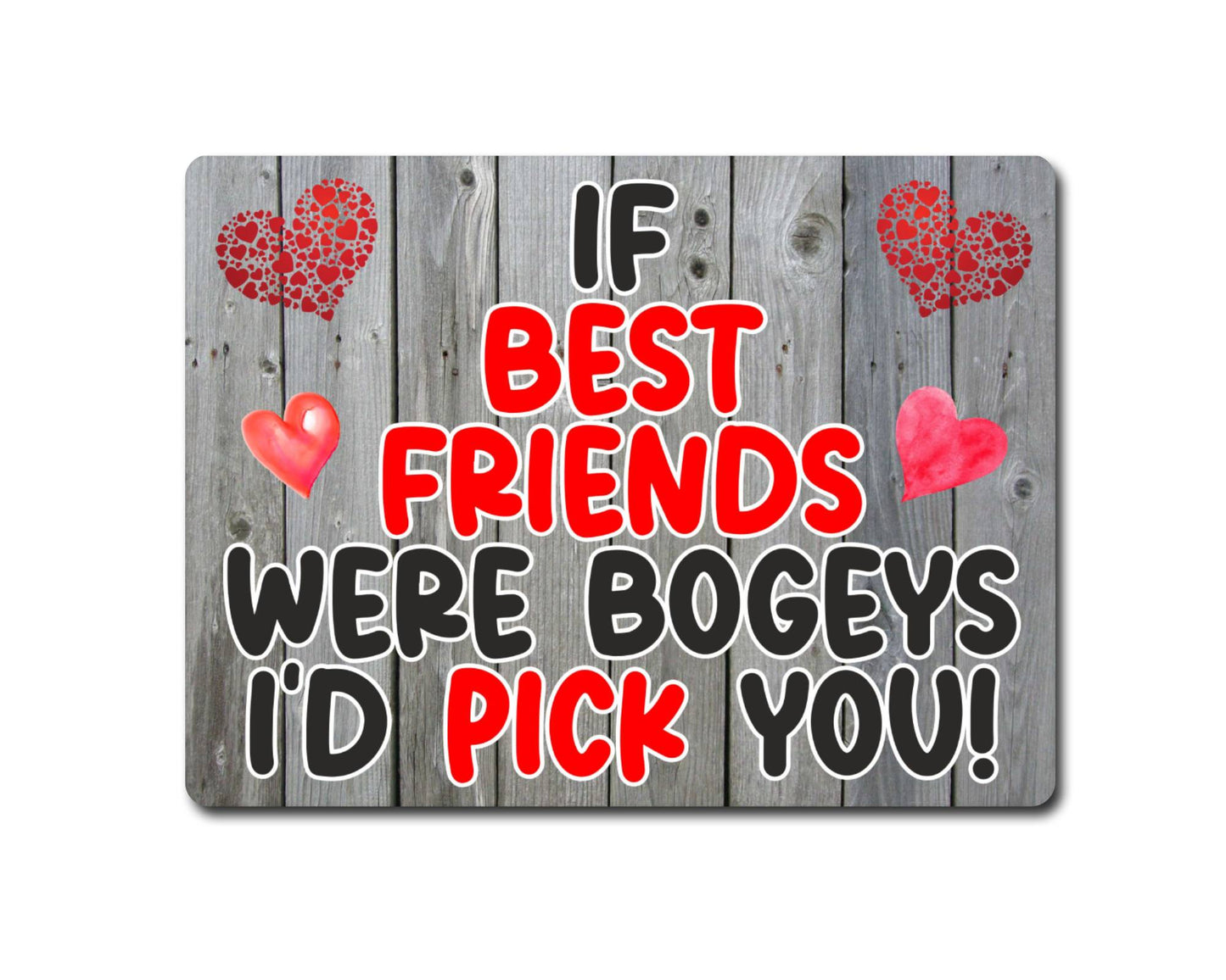 Best Friend Metal Sign Gift - If Best Friends Were Bogeys I'd Pick You - Cute Fun Novelty Aluminium Present
