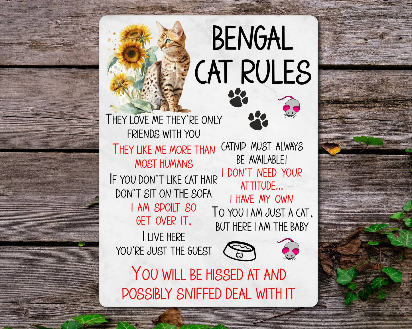 Kitten Metal Sign Gift - Bengal Cat Rules - I Live Here You're Just The Guest - Cute Fun Novelty Family Pet Aluminium Present