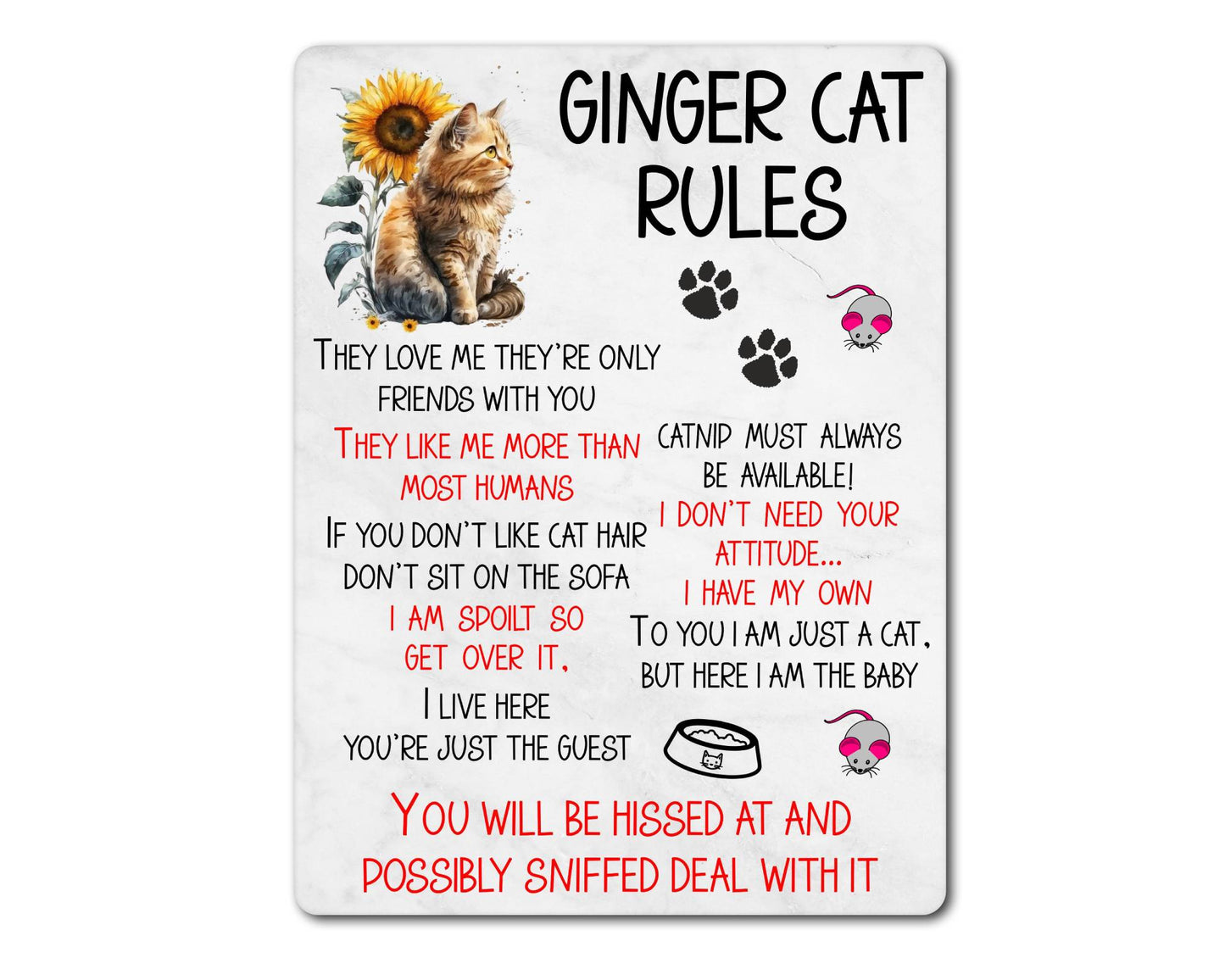 Kitten Metal Sign Gift - Ginger Cat Rules - I Live Here You're Just The Guest - Cute Fun Novelty Family Pet Aluminium Present