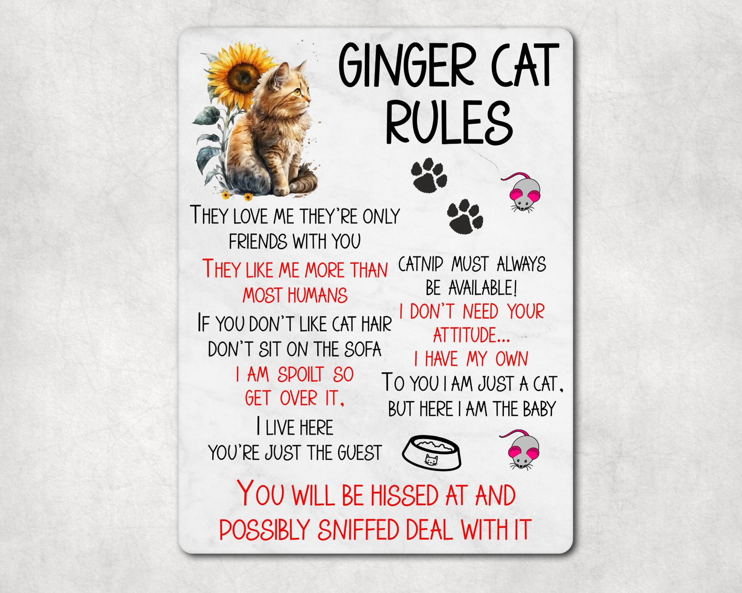 Kitten Metal Sign Gift - Ginger Cat Rules - I Live Here You're Just The Guest - Cute Fun Novelty Family Pet Aluminium Present