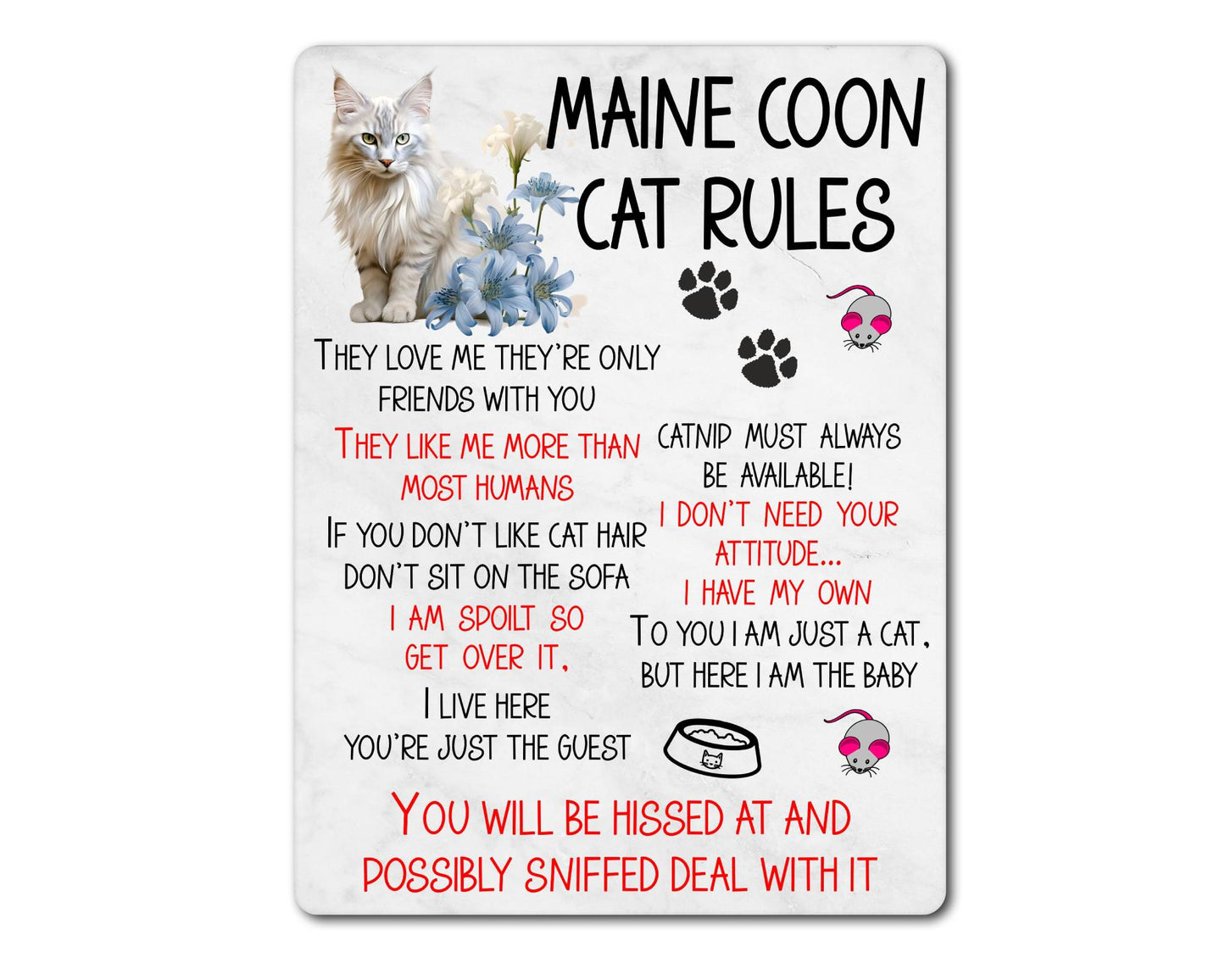 Kitten Metal Sign Gift - Maine Coon Cat Rules - I Live Here You're Just The Guest - Cute Fun Novelty Family Pet Aluminium Present
