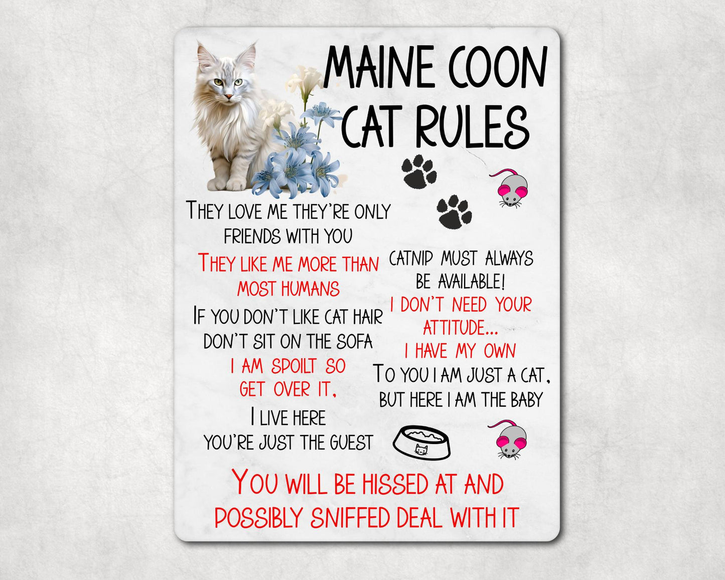 Kitten Metal Sign Gift - Maine Coon Cat Rules - I Live Here You're Just The Guest - Cute Fun Novelty Family Pet Aluminium Present
