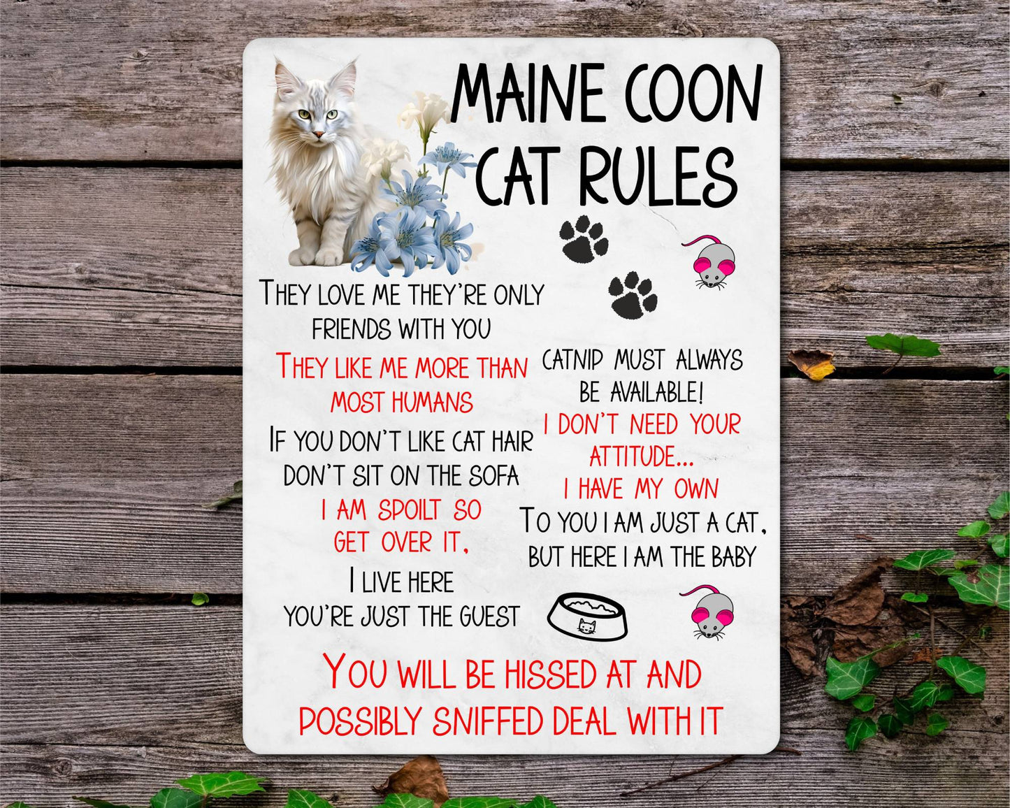 Kitten Metal Sign Gift - Maine Coon Cat Rules - I Live Here You're Just The Guest - Cute Fun Novelty Family Pet Aluminium Present
