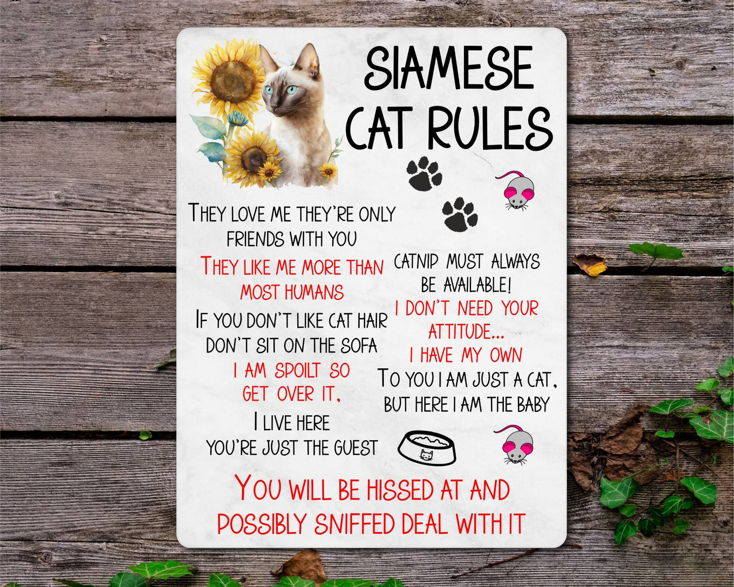 Kitten Metal Sign Gift - Siamese Cat Rules - I Live Here You're Just The Guest - Cute Fun Novelty Family Pet Aluminium Present