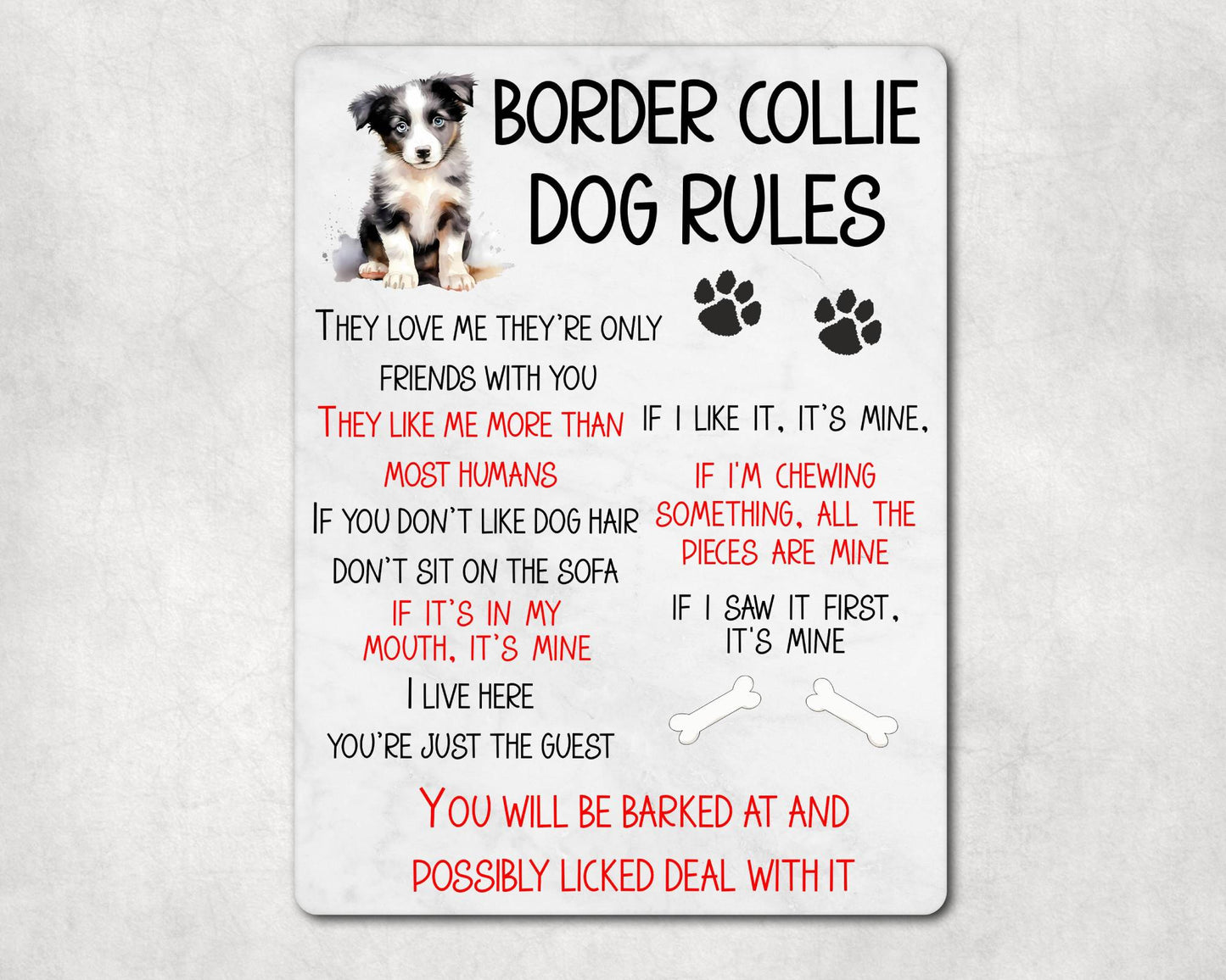 Dog Metal Sign Gift - Border Collie Rules - I Live Here You're Just The Guest - Cute Fun Novelty Family Pet Aluminium Present