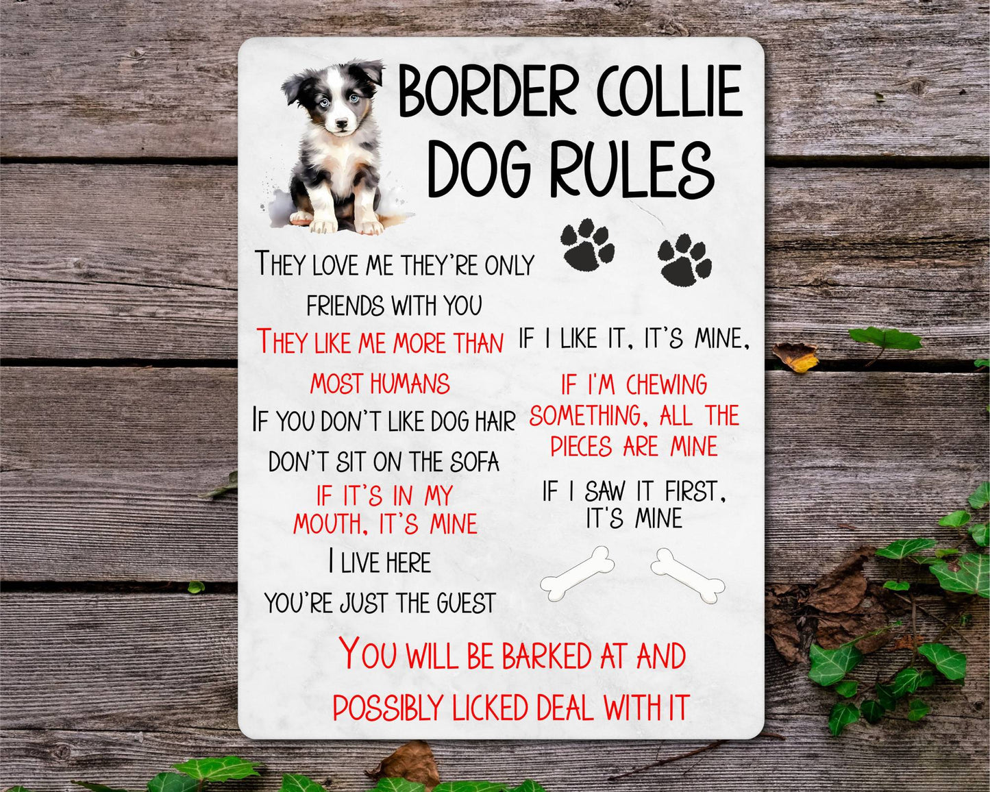 Dog Metal Sign Gift - Border Collie Rules - I Live Here You're Just The Guest - Cute Fun Novelty Family Pet Aluminium Present