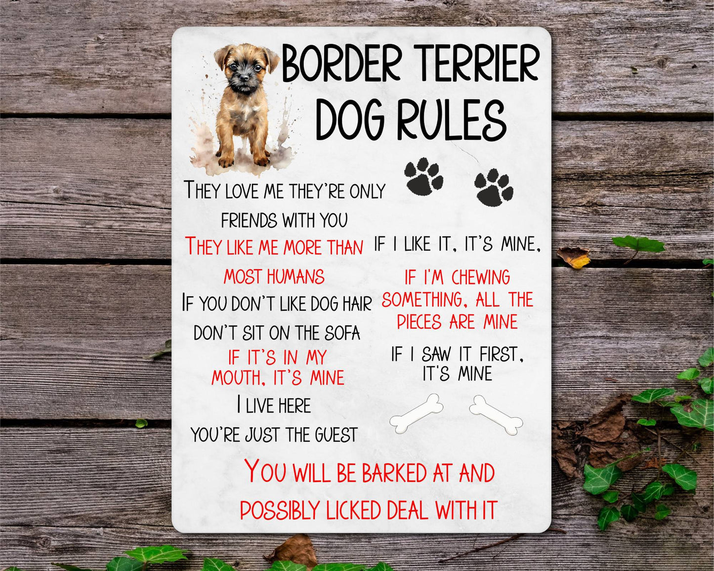 Dog Metal Sign Gift - Border Terrier Rules - I Live Here You're Just The Guest - Cute Fun Novelty Family Pet Aluminium Present