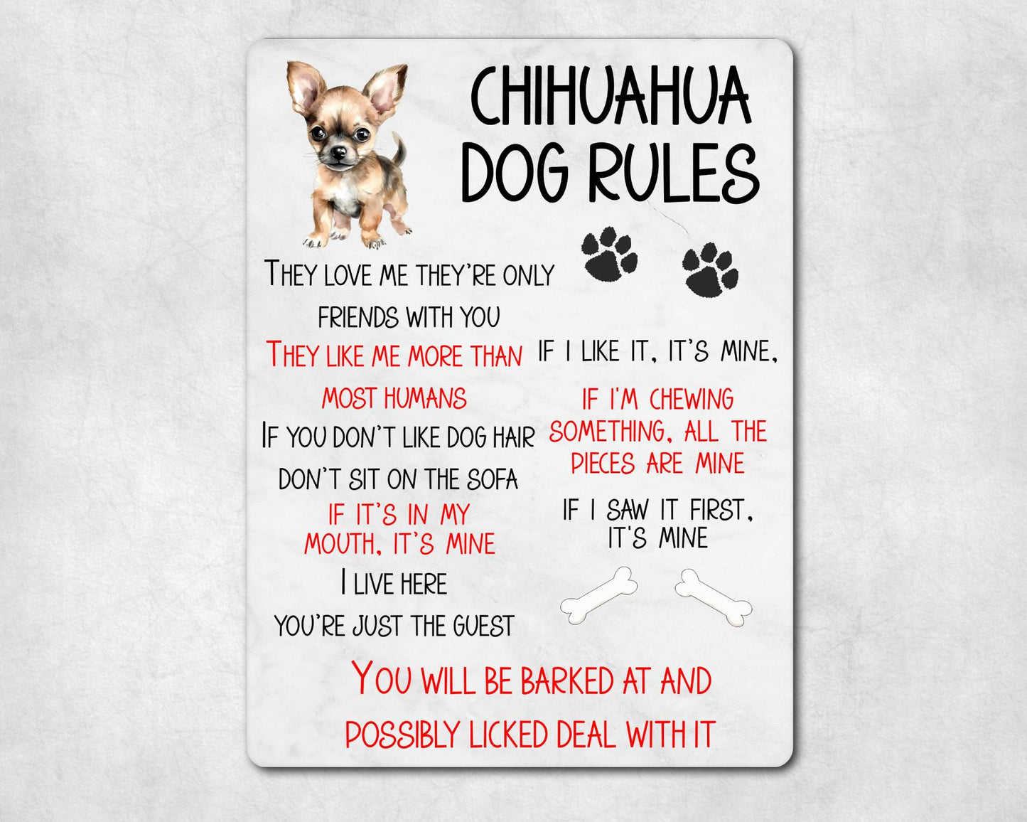Dog Metal Sign Gift - Chihuahua Rules - I Live Here You're Just The Guest - Cute Fun Novelty Family Pet Aluminium Present