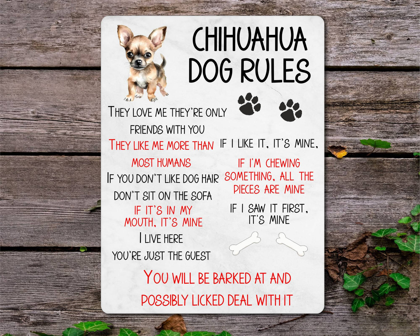 Dog Metal Sign Gift - Chihuahua Rules - I Live Here You're Just The Guest - Cute Fun Novelty Family Pet Aluminium Present