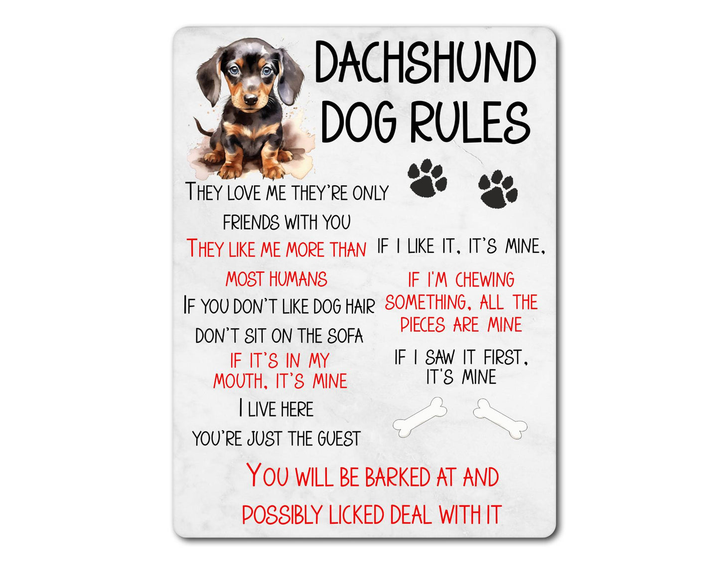 Dog Metal Sign Gift - Dachshund Rules - I Live Here You're Just The Guest - Cute Fun Novelty Family Pet Aluminium Present
