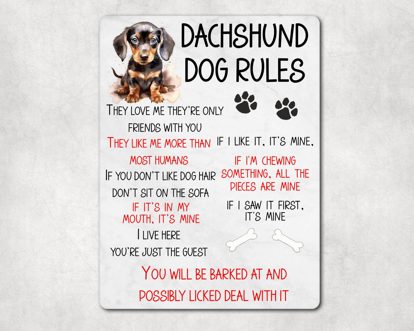 Dog Metal Sign Gift - Dachshund Rules - I Live Here You're Just The Guest - Cute Fun Novelty Family Pet Aluminium Present