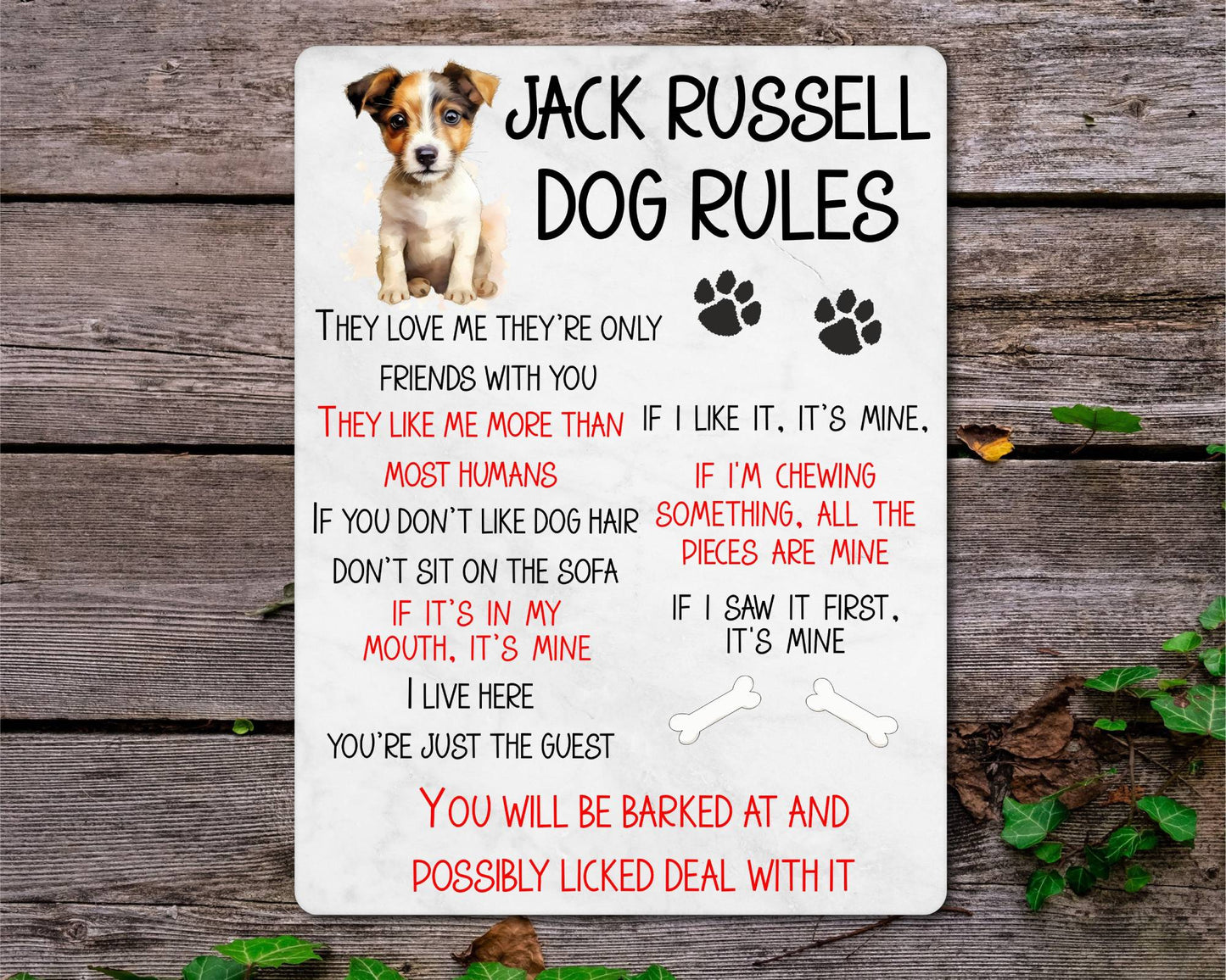 Dog Metal Sign Gift - Jack Russell Rules - I Live Here You're Just The Guest - Cute Fun Novelty Family Pet Aluminium Present