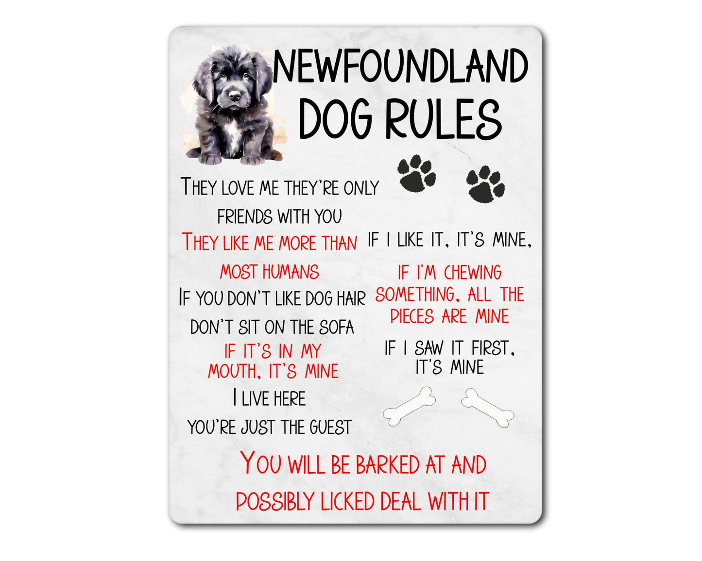 Dog Metal Sign Gift - Newfoundland Rules - I Live Here You're Just The Guest - Cute Fun Novelty Family Pet Aluminium Present