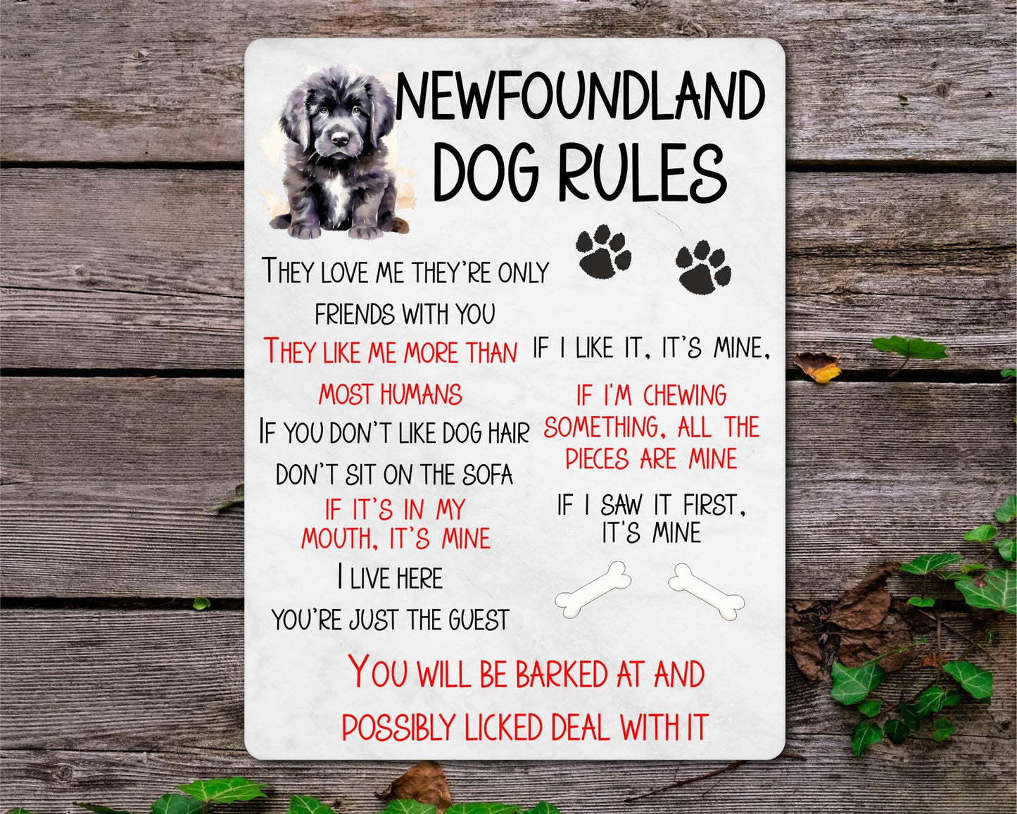 Dog Metal Sign Gift - Newfoundland Rules - I Live Here You're Just The Guest - Cute Fun Novelty Family Pet Aluminium Present