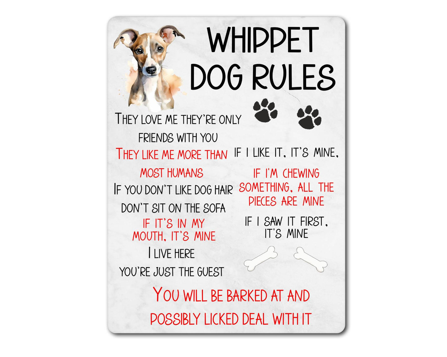 Dog Metal Sign Gift - Whippet Rules - I Live Here You're Just The Guest - Cute Fun Novelty Family Pet Aluminium Present