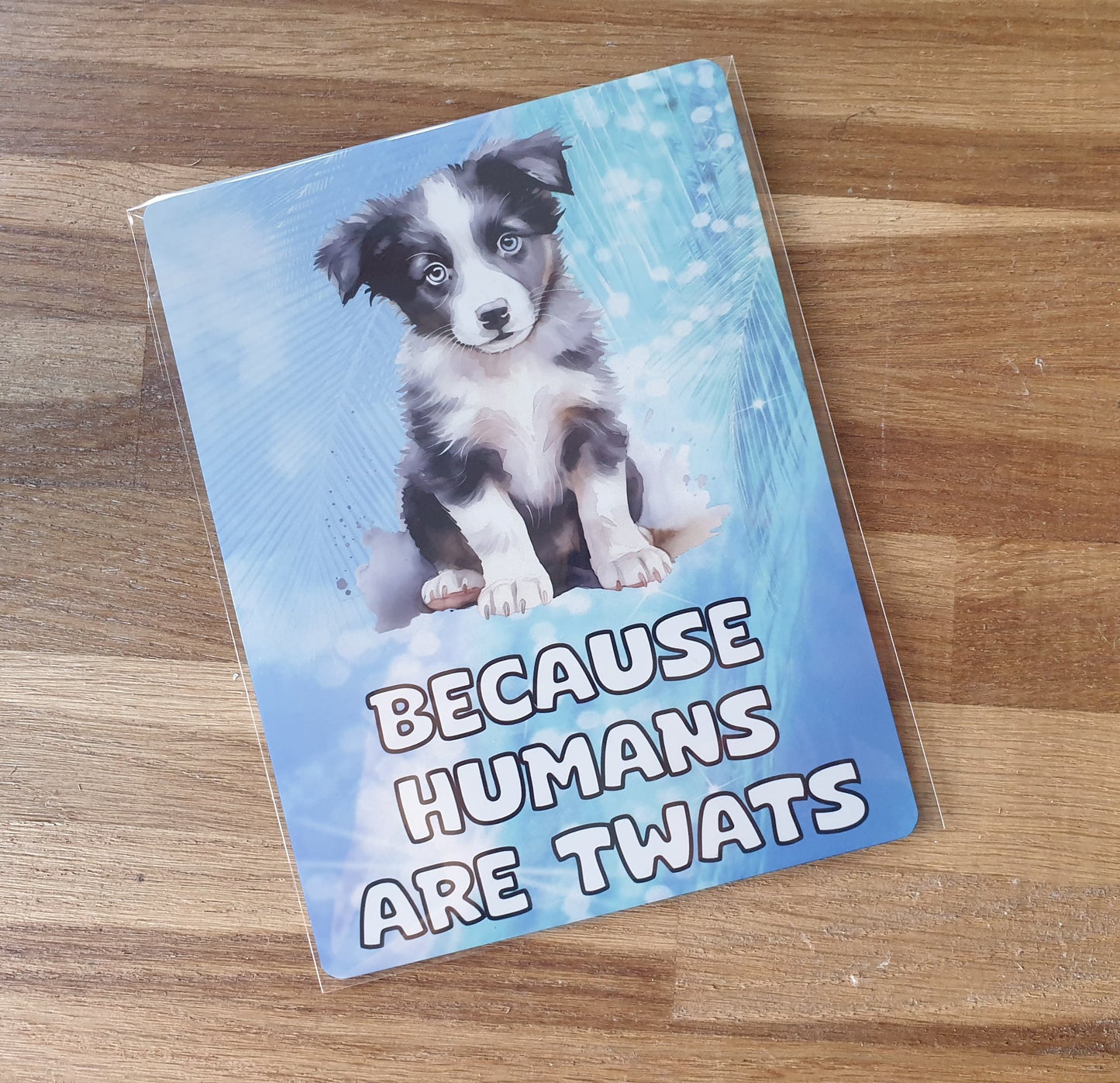 Border Collie Metal Sign Gift - Because Humans Are Twats - Cute Fun Novelty Animal Aluminium Present