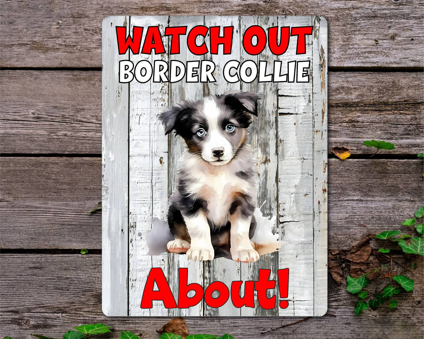 Dog Metal Sign Gift - Watch Out Border Collie About - Cute Fun Novelty Family Pet Aluminium Present