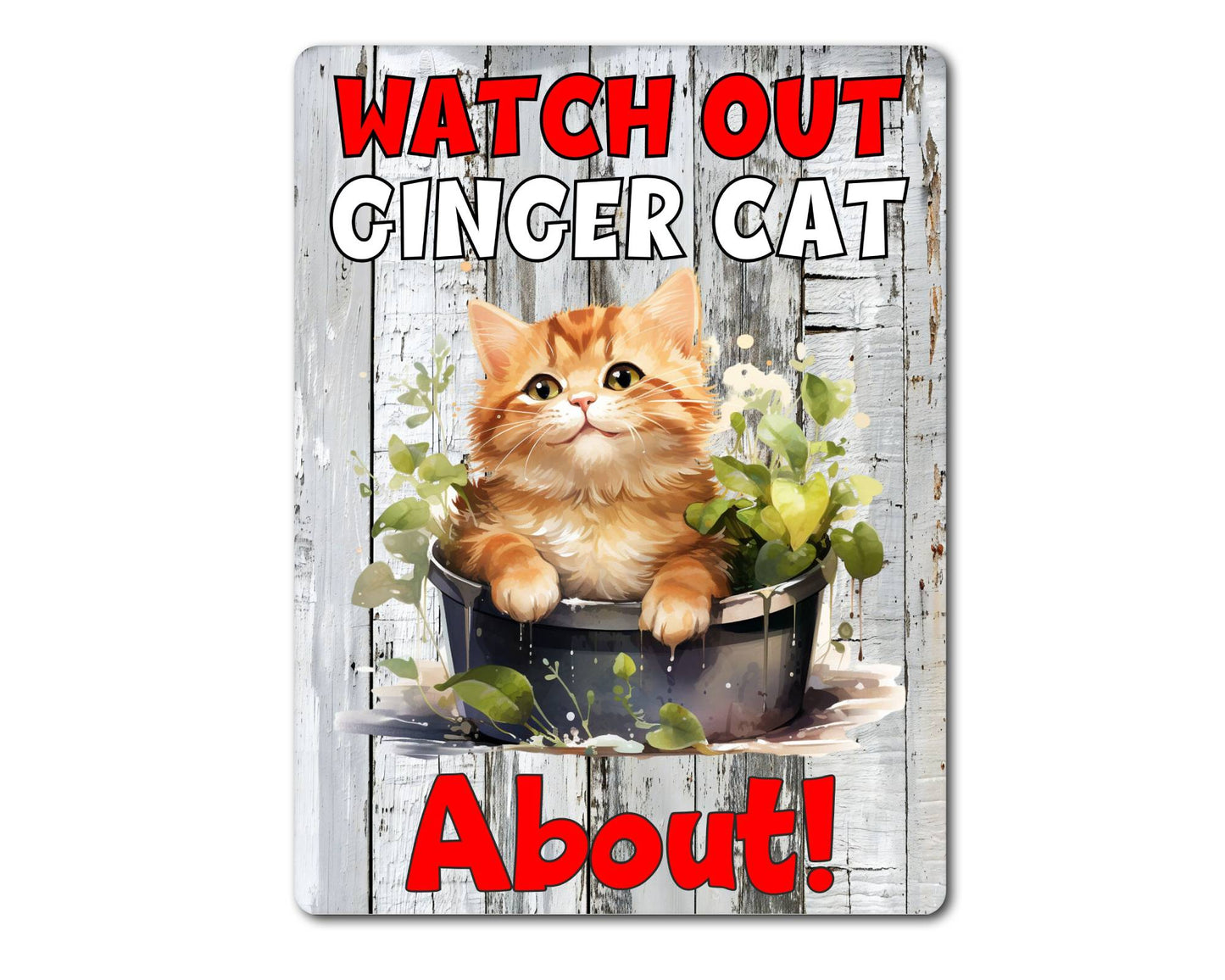 Kitten Metal Sign Gift - Watch Out Ginger Cat About - Cute Fun Novelty Family Pet Aluminium Present