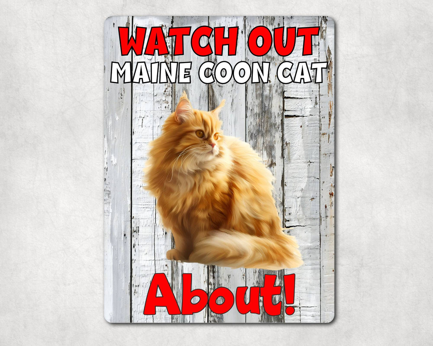 Kitten Metal Sign Gift - Watch Out Maine Coon Cat About - Cute Fun Novelty Family Pet Aluminium Present
