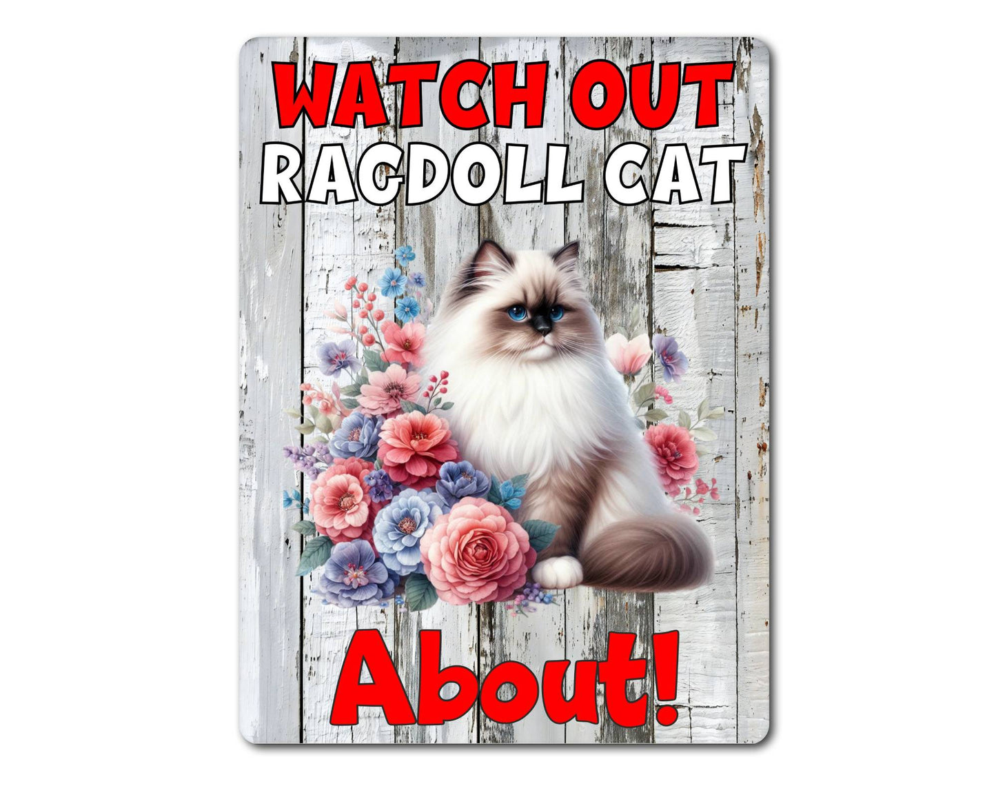 Kitten Metal Sign Gift - Watch Out Ragdoll Cat About - Cute Fun Novelty Family Pet Aluminium Present