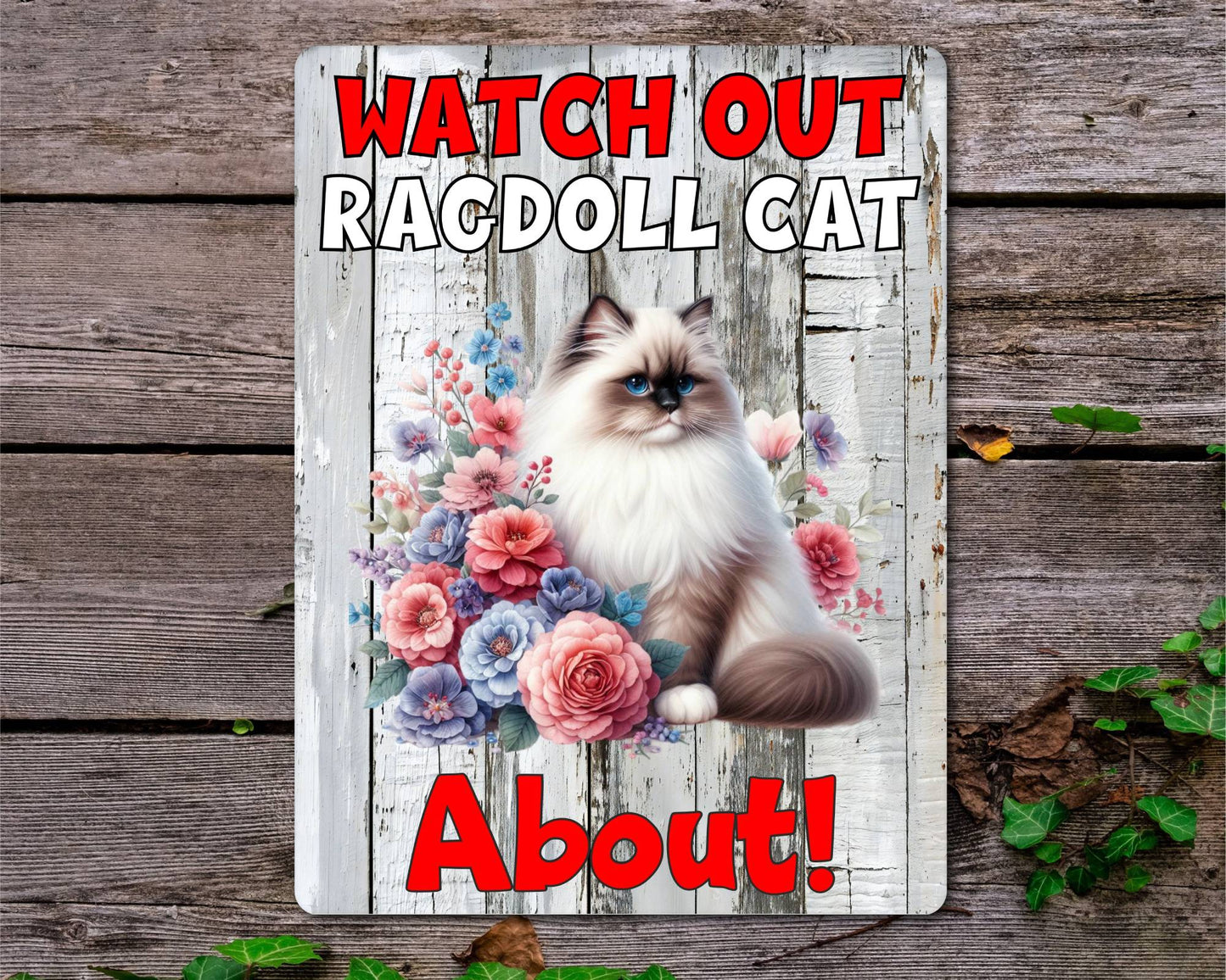Kitten Metal Sign Gift - Watch Out Ragdoll Cat About - Cute Fun Novelty Family Pet Aluminium Present