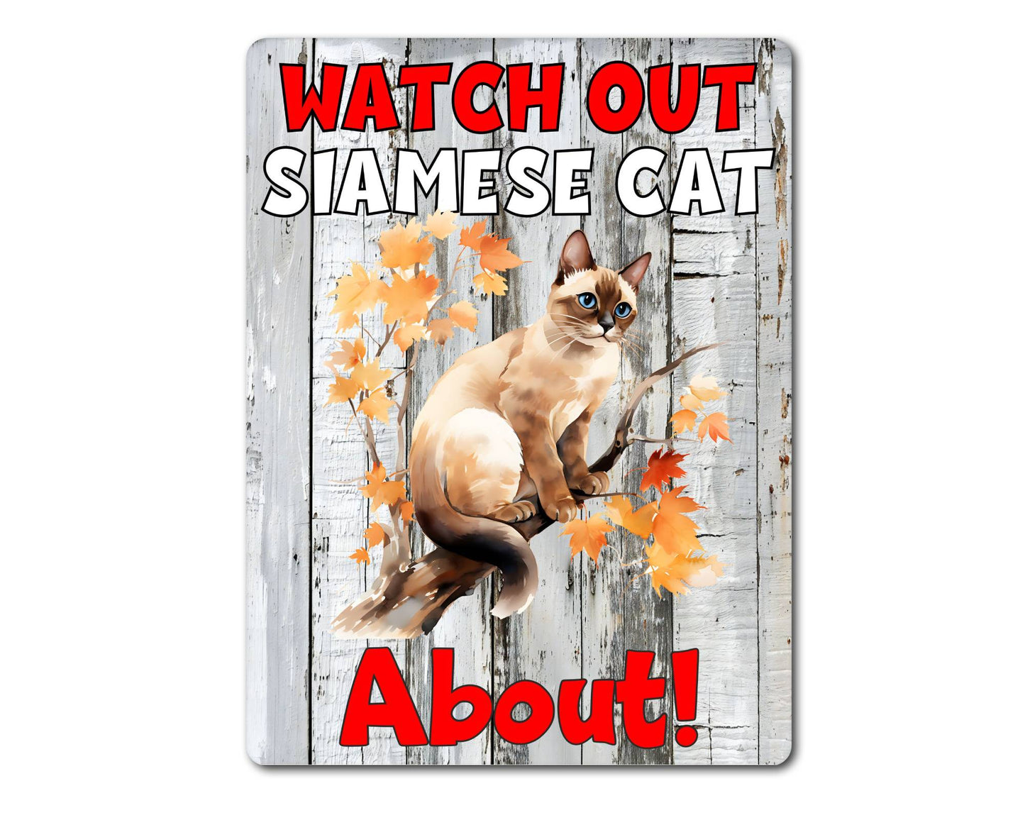 Kitten Metal Sign Gift - Watch Out Siamese Cat About - Cute Fun Novelty Family Pet Aluminium Present